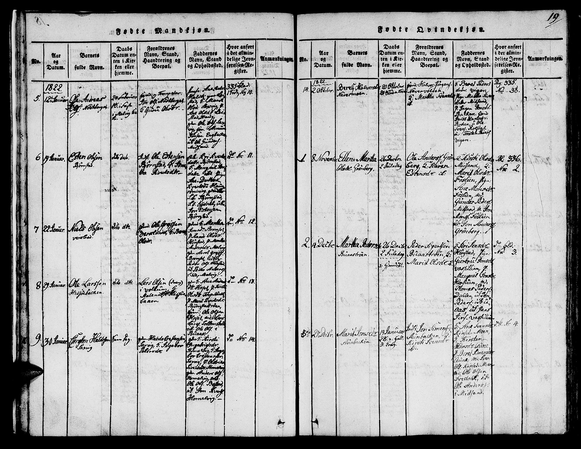 Ministerialprotokoller, klokkerbøker og fødselsregistre - Sør-Trøndelag, SAT/A-1456/616/L0420: Parish register (copy) no. 616C03, 1817-1835, p. 19
