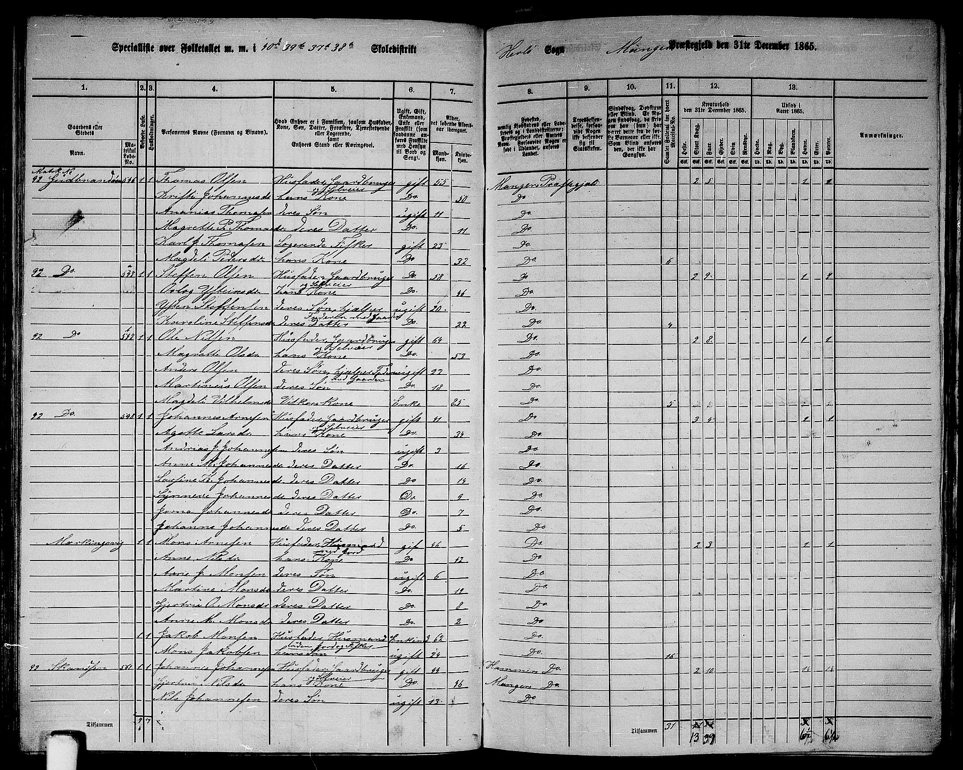 RA, 1865 census for Manger, 1865, p. 163