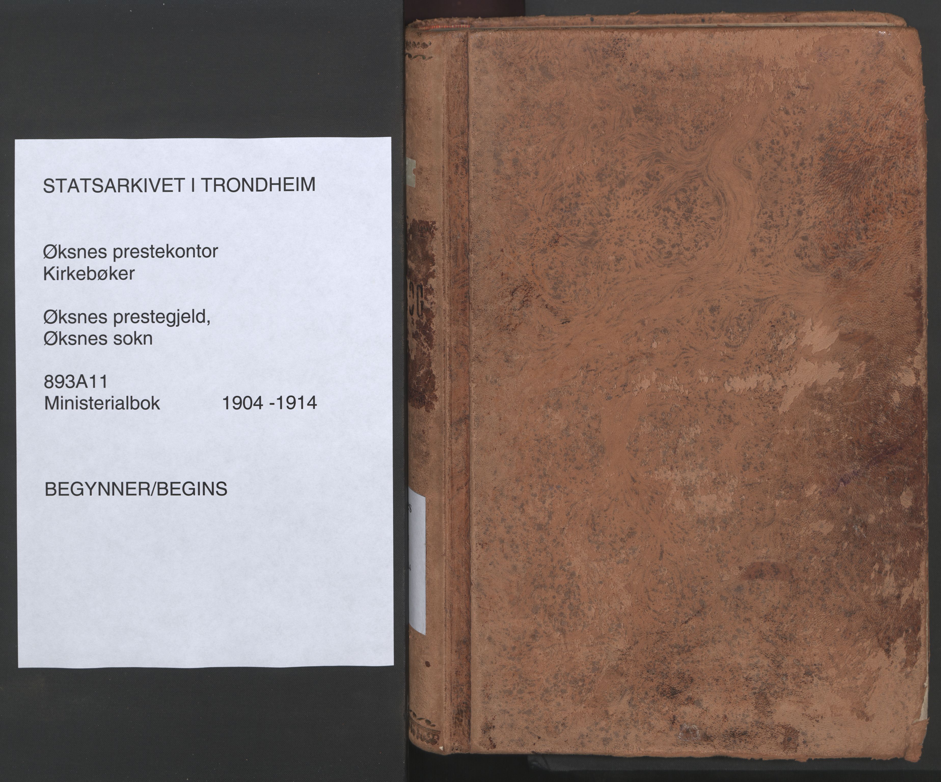 Ministerialprotokoller, klokkerbøker og fødselsregistre - Nordland, SAT/A-1459/893/L1339: Parish register (official) no. 893A11, 1904-1914