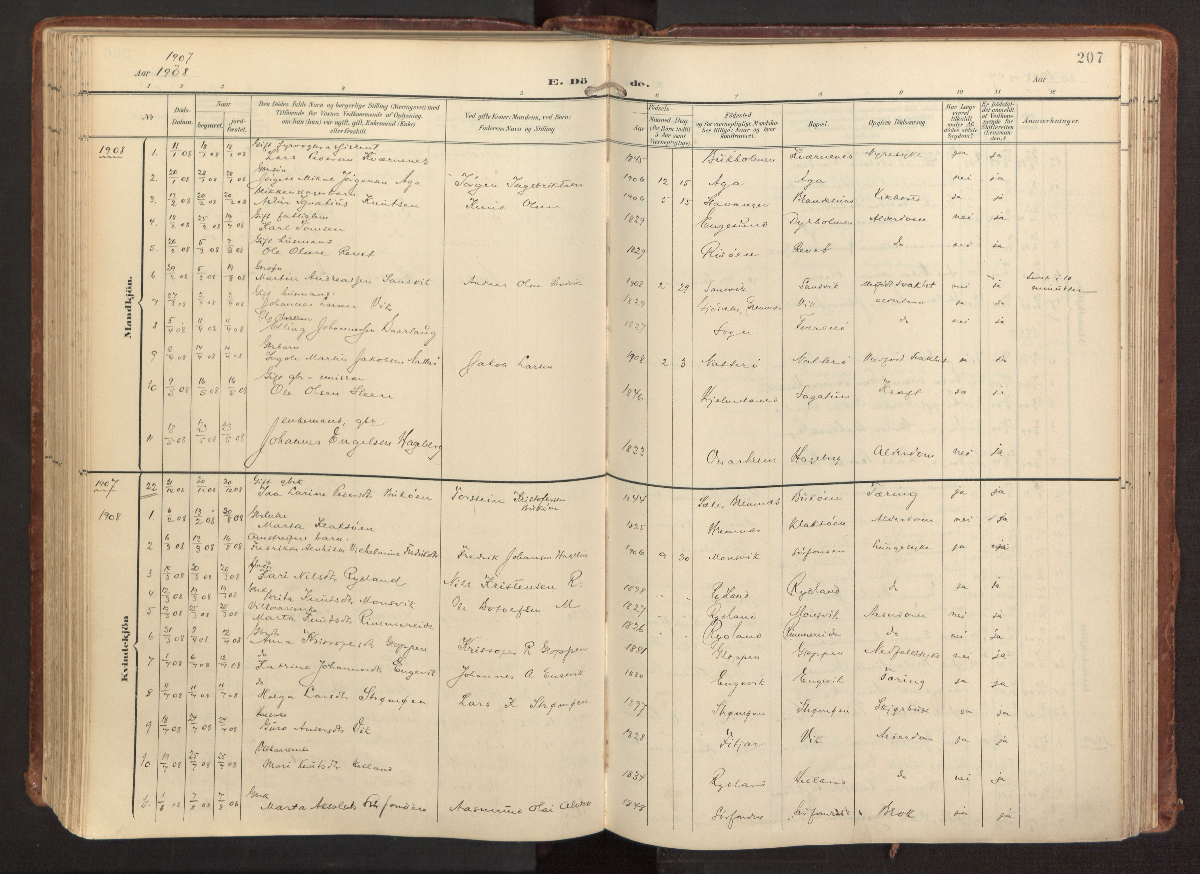 Fitjar sokneprestembete, SAB/A-99926: Parish register (official) no. A 3, 1900-1918, p. 207