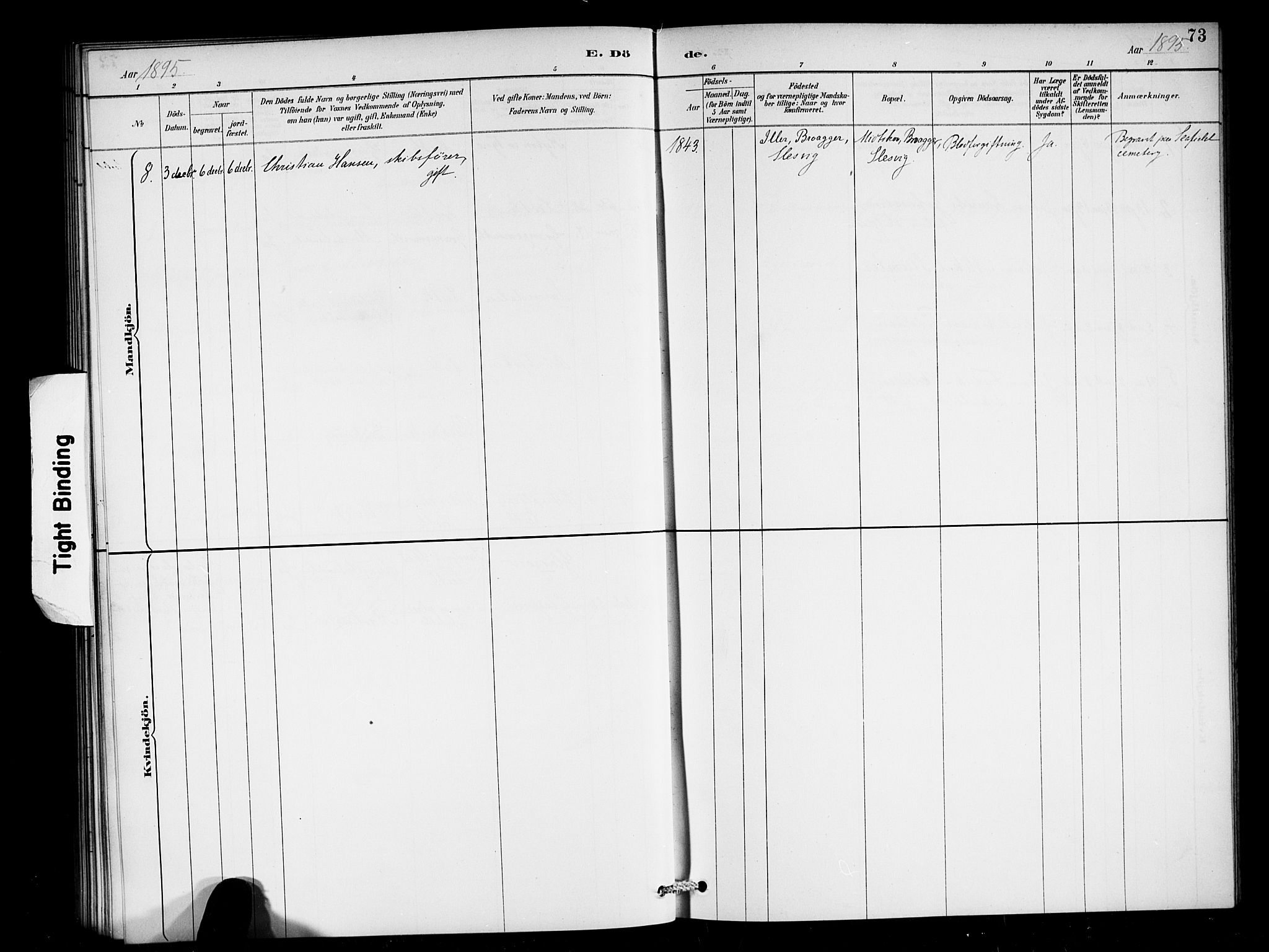 Den norske sjømannsmisjon i utlandet/Skotske havner (Leith, Glasgow), SAB/SAB/PA-0100/H/Ha/Haa/L0003: Parish register (official) no. A 3, 1887-1898, p. 73
