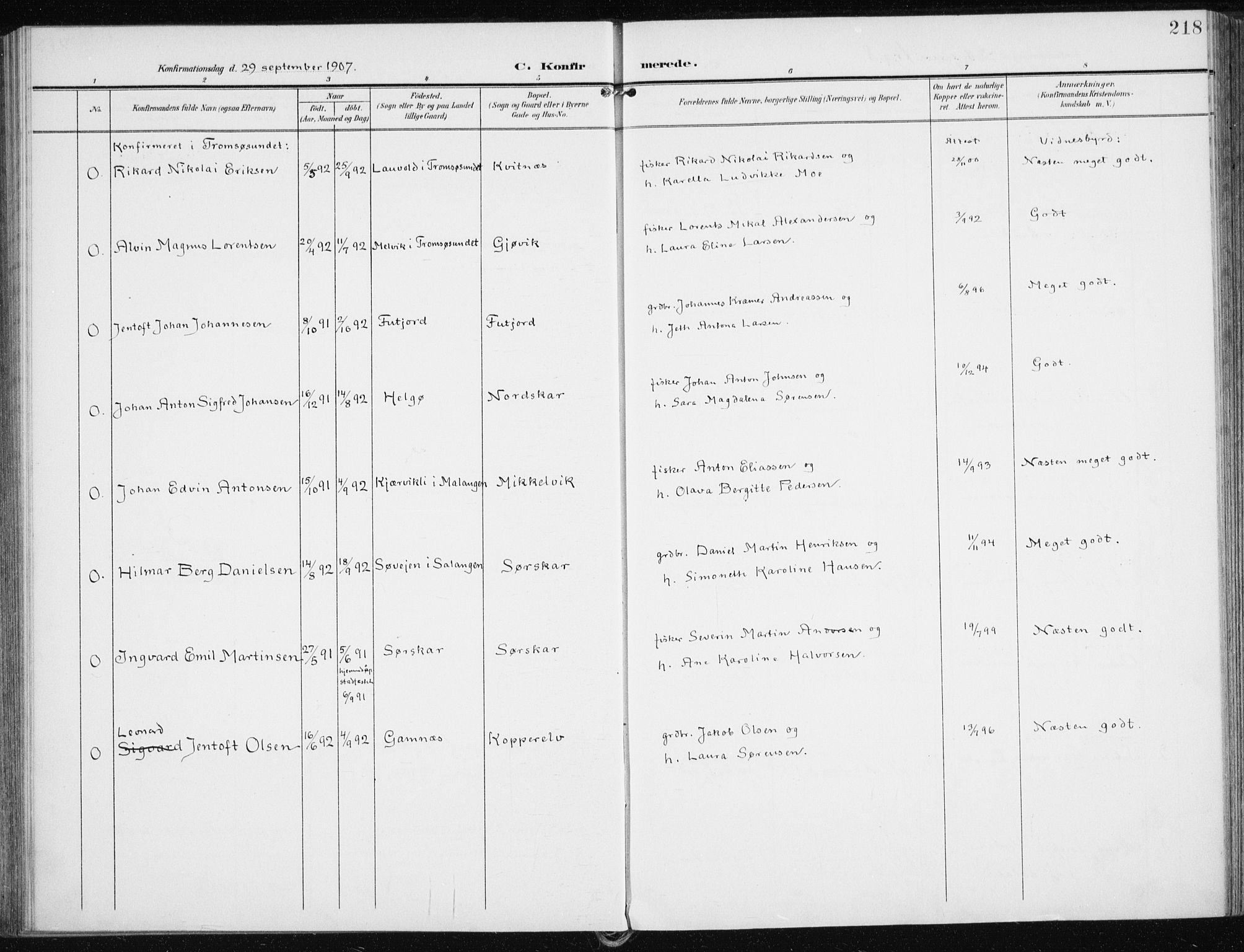 Karlsøy sokneprestembete, AV/SATØ-S-1299/H/Ha/Haa/L0014kirke: Parish register (official) no. 14, 1903-1917, p. 218