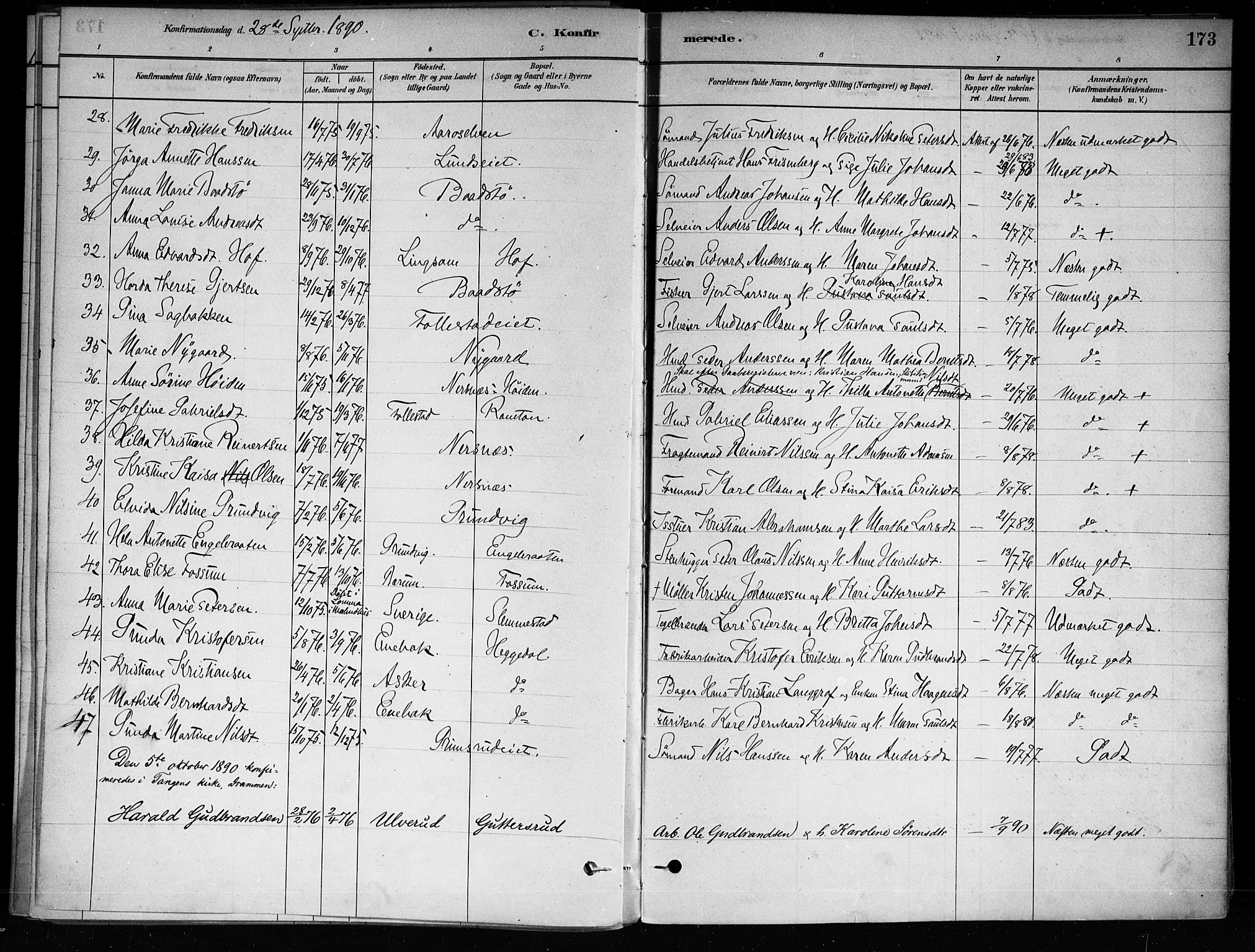 Røyken kirkebøker, SAKO/A-241/F/Fa/L0008: Parish register (official) no. 8, 1880-1897, p. 173
