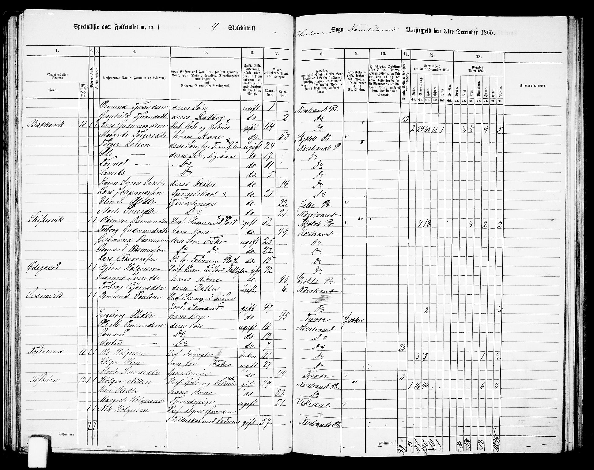 RA, 1865 census for Nedstrand, 1865, p. 58