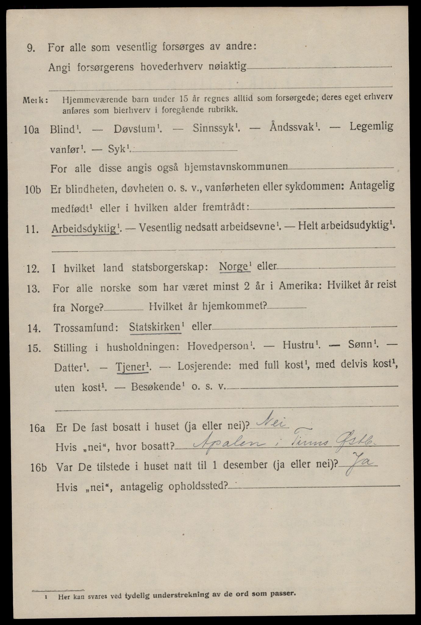 SAKO, 1920 census for Tinn, 1920, p. 3813