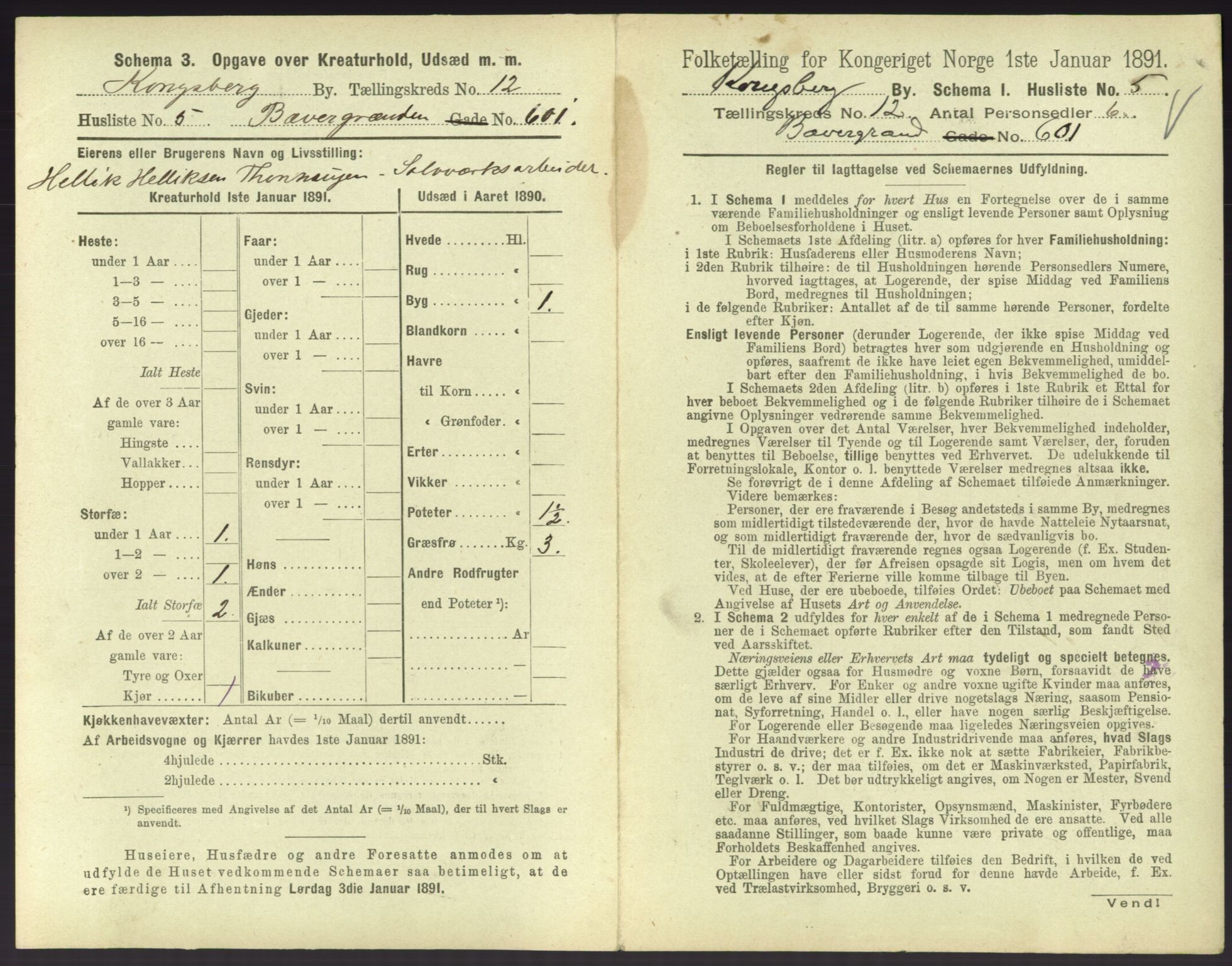 RA, 1891 census for 0604 Kongsberg, 1891, p. 1513