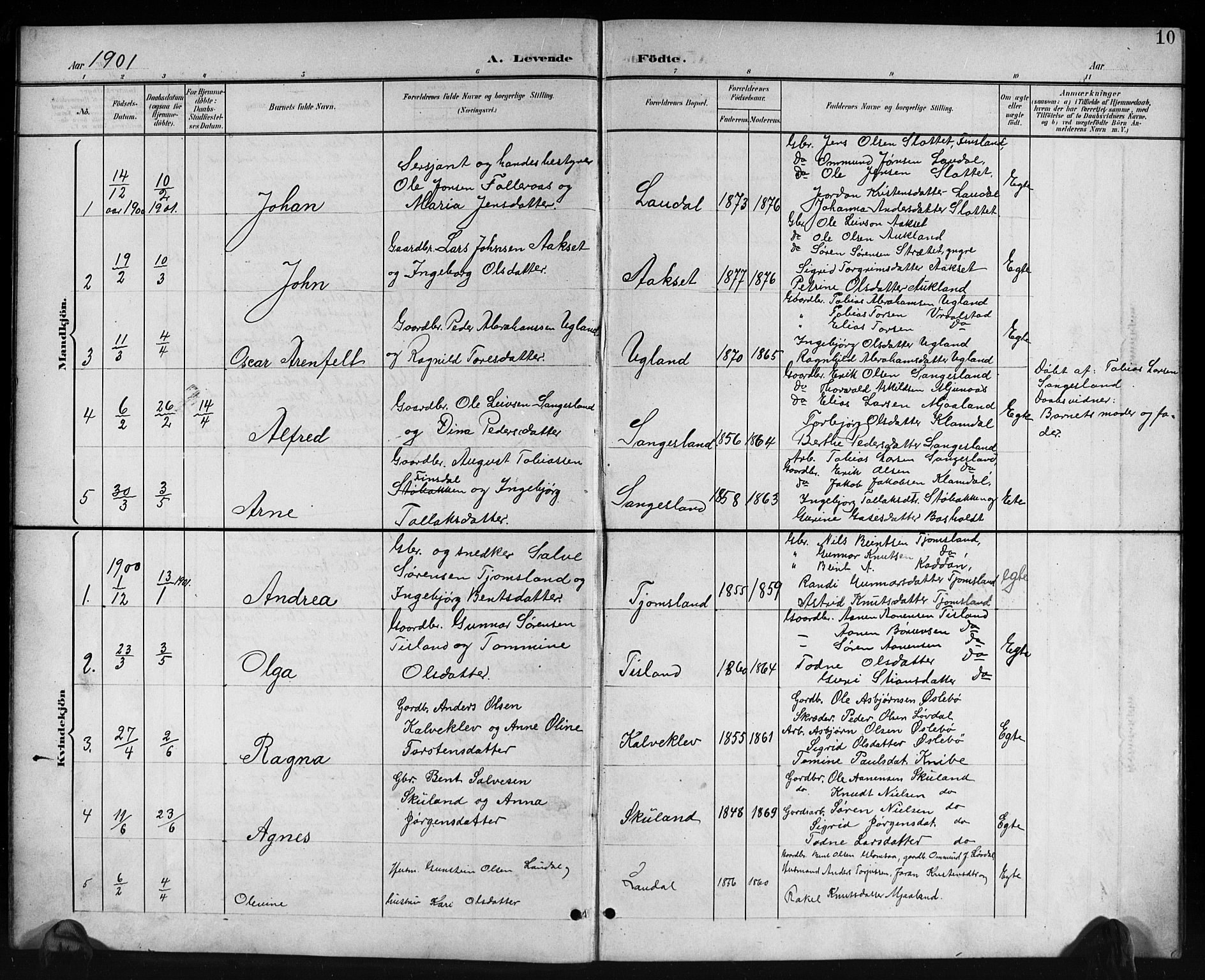 Holum sokneprestkontor, AV/SAK-1111-0022/F/Fb/Fbb/L0004: Parish register (copy) no. B 4, 1899-1920, p. 10