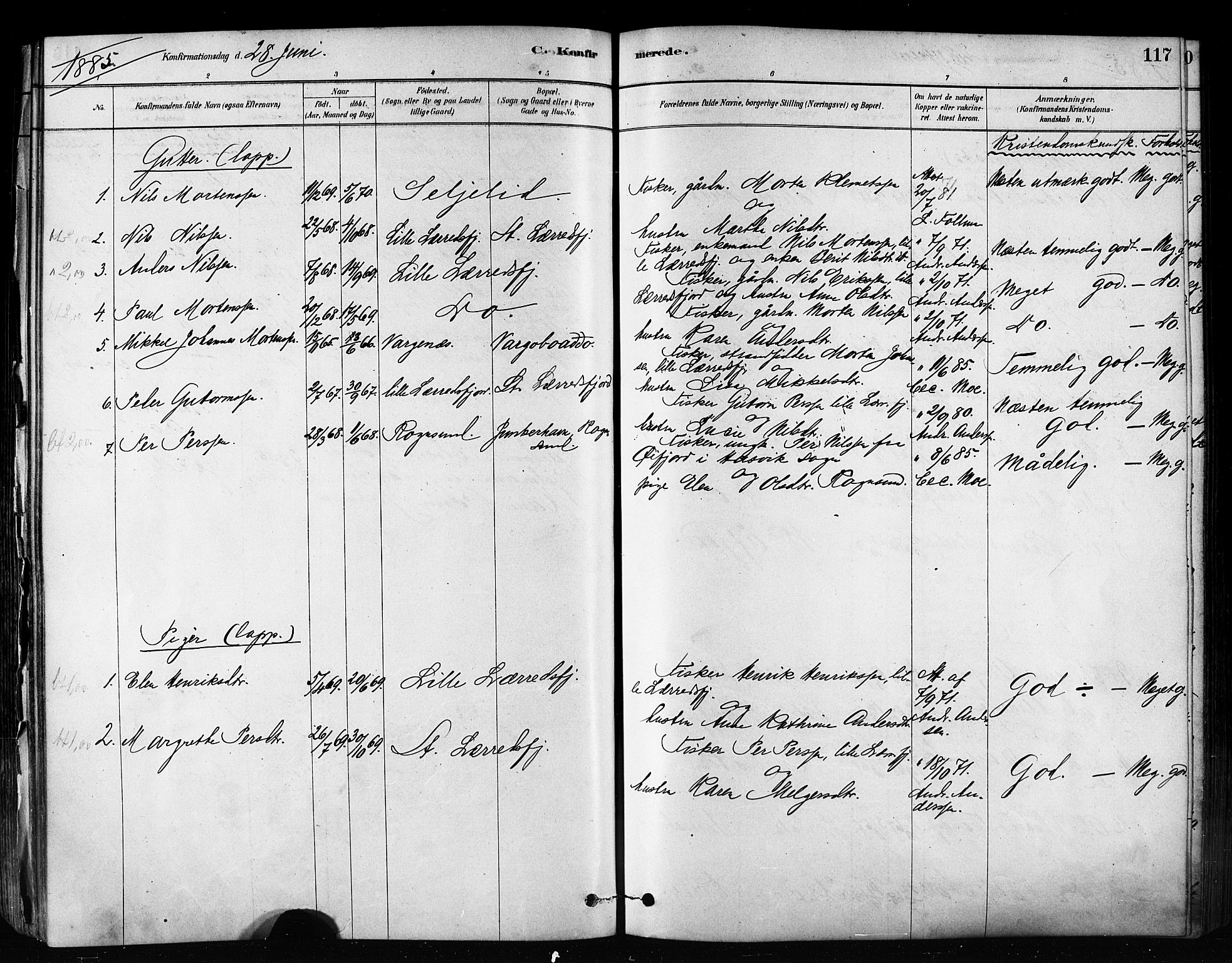 Talvik sokneprestkontor, SATØ/S-1337/H/Ha/L0012kirke: Parish register (official) no. 12, 1878-1886, p. 117