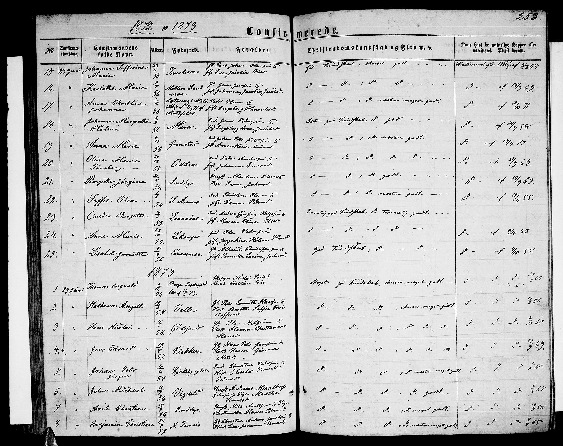 Ministerialprotokoller, klokkerbøker og fødselsregistre - Nordland, AV/SAT-A-1459/805/L0107: Parish register (copy) no. 805C03, 1862-1885, p. 253