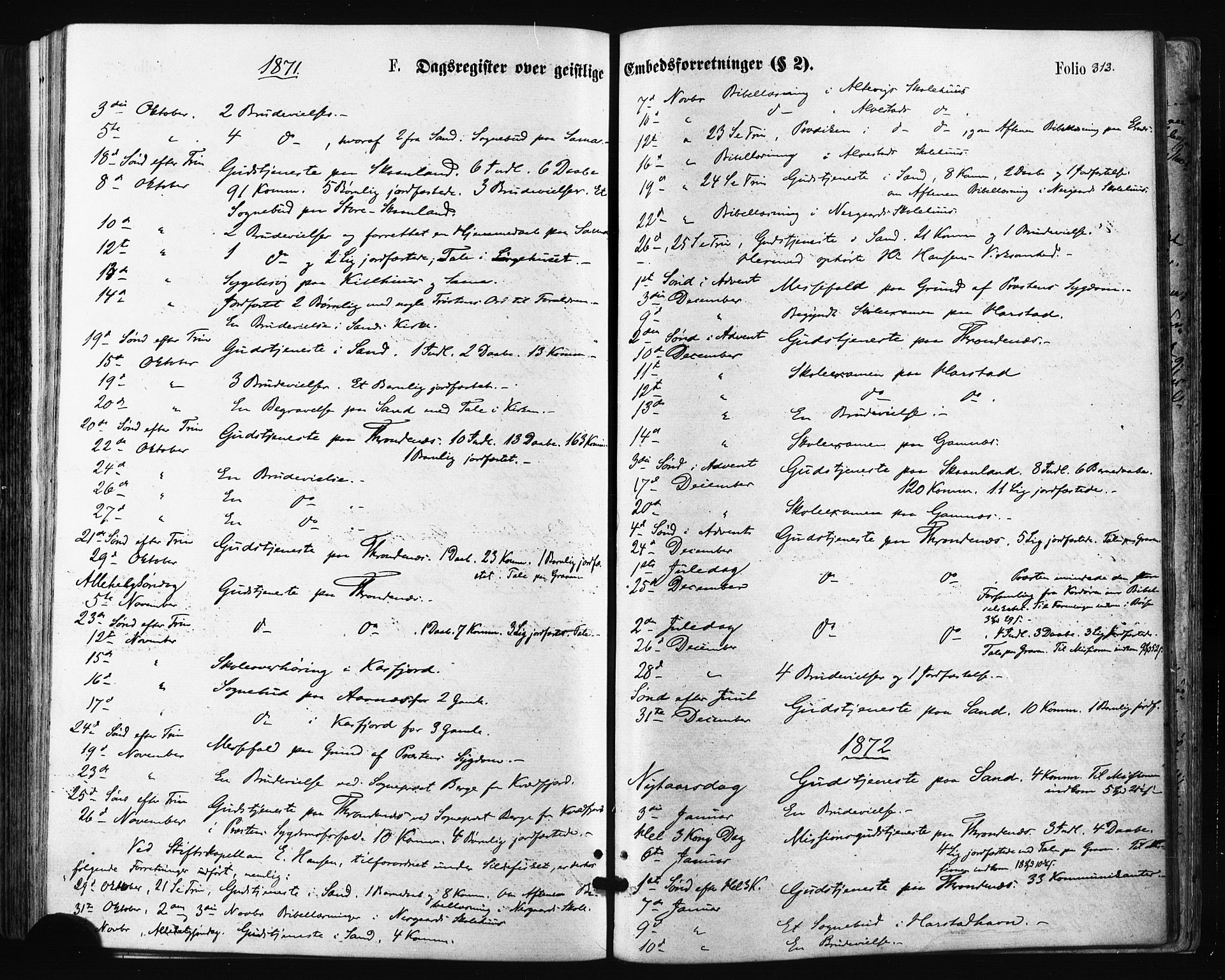 Trondenes sokneprestkontor, SATØ/S-1319/H/Ha/L0013kirke: Parish register (official) no. 13, 1870-1878, p. 313