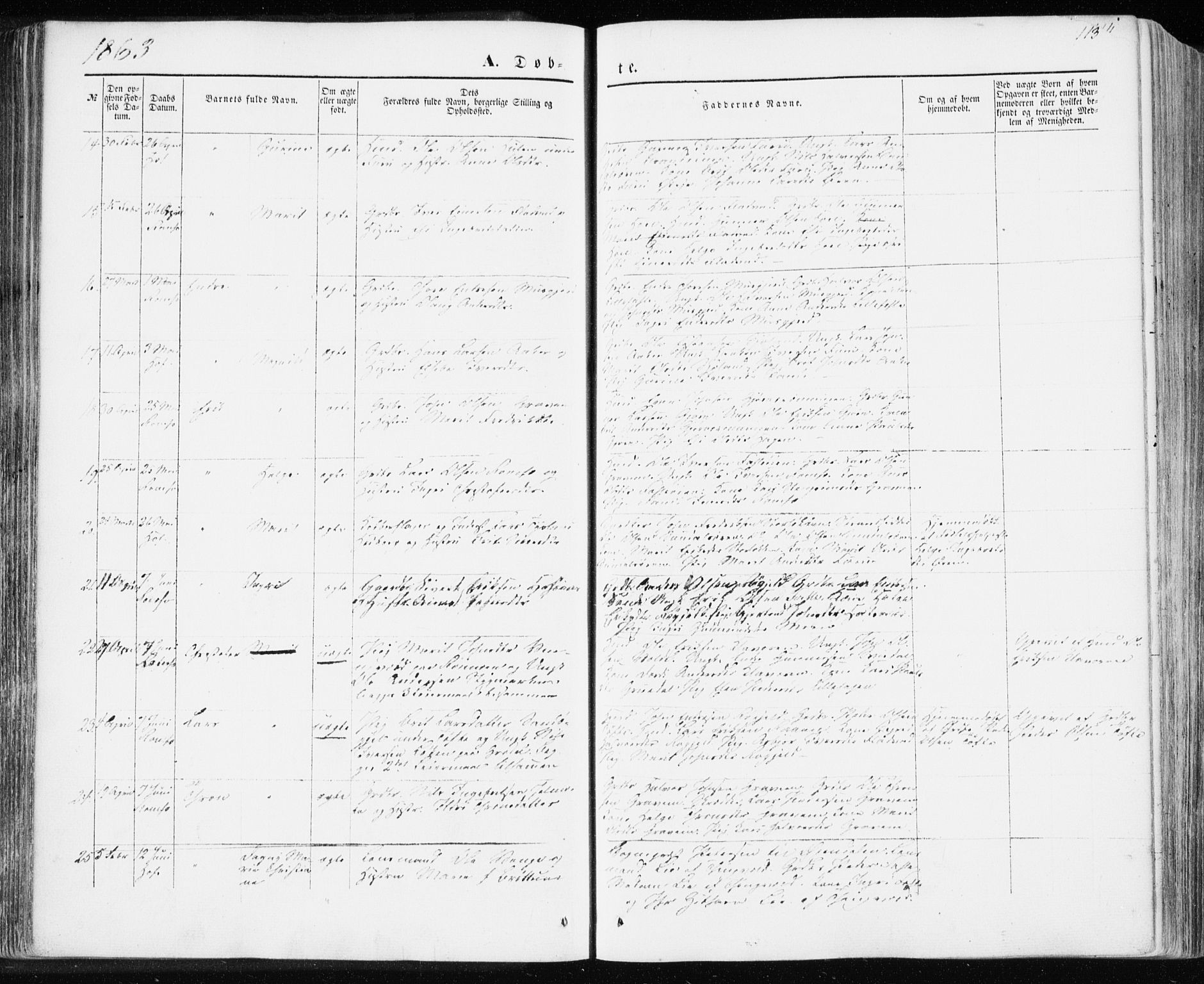 Ministerialprotokoller, klokkerbøker og fødselsregistre - Møre og Romsdal, AV/SAT-A-1454/590/L1013: Parish register (official) no. 590A05, 1847-1877, p. 113