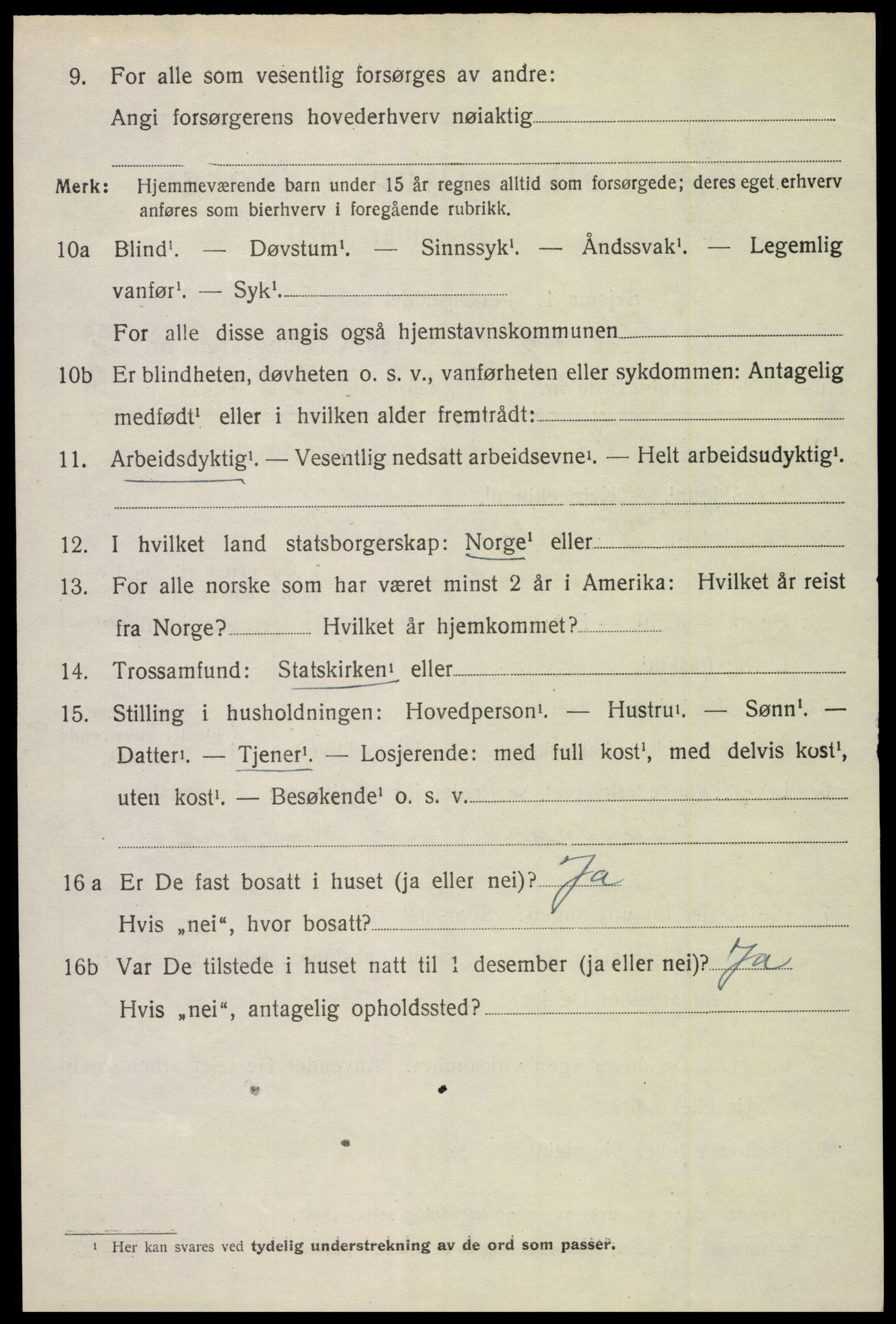 SAH, 1920 census for Vang (Hedmark), 1920, p. 18616