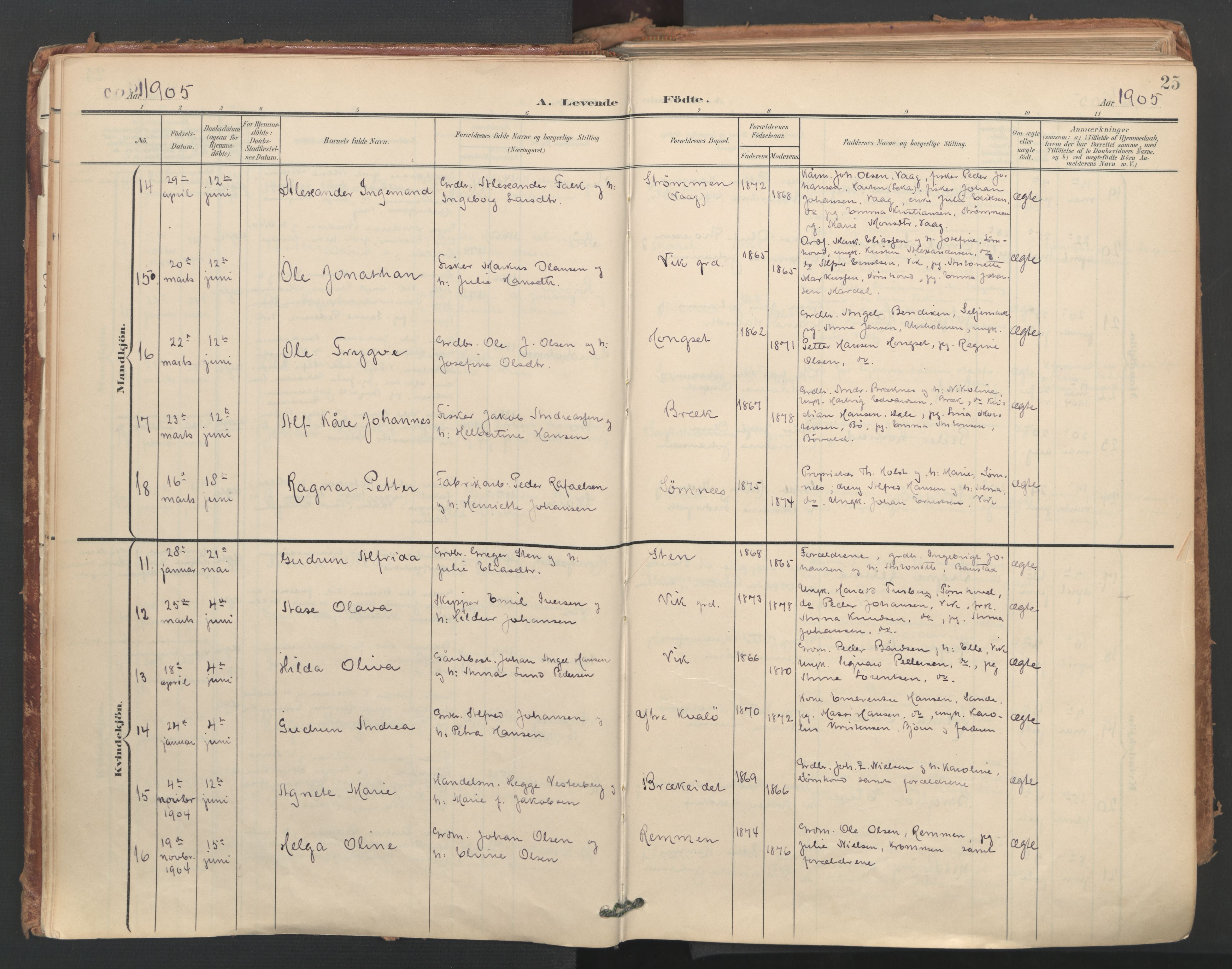 Ministerialprotokoller, klokkerbøker og fødselsregistre - Nordland, AV/SAT-A-1459/812/L0180: Parish register (official) no. 812A09, 1901-1915, p. 25