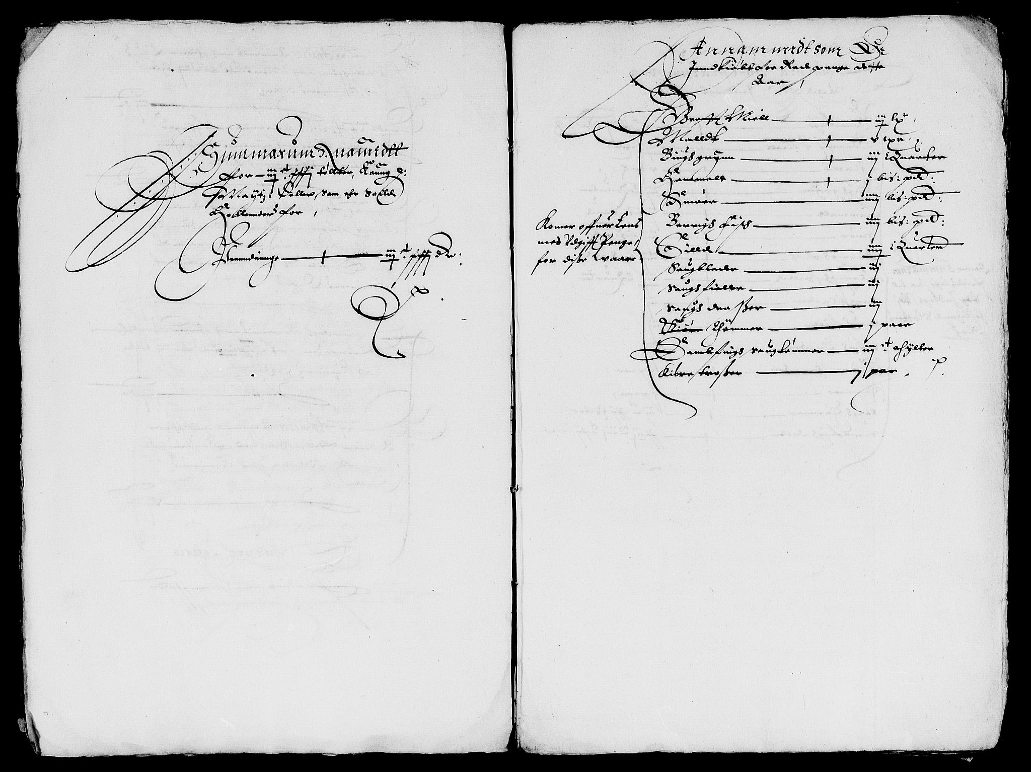 Rentekammeret inntil 1814, Reviderte regnskaper, Lensregnskaper, AV/RA-EA-5023/R/Rb/Rba/L0101: Akershus len, 1630-1631