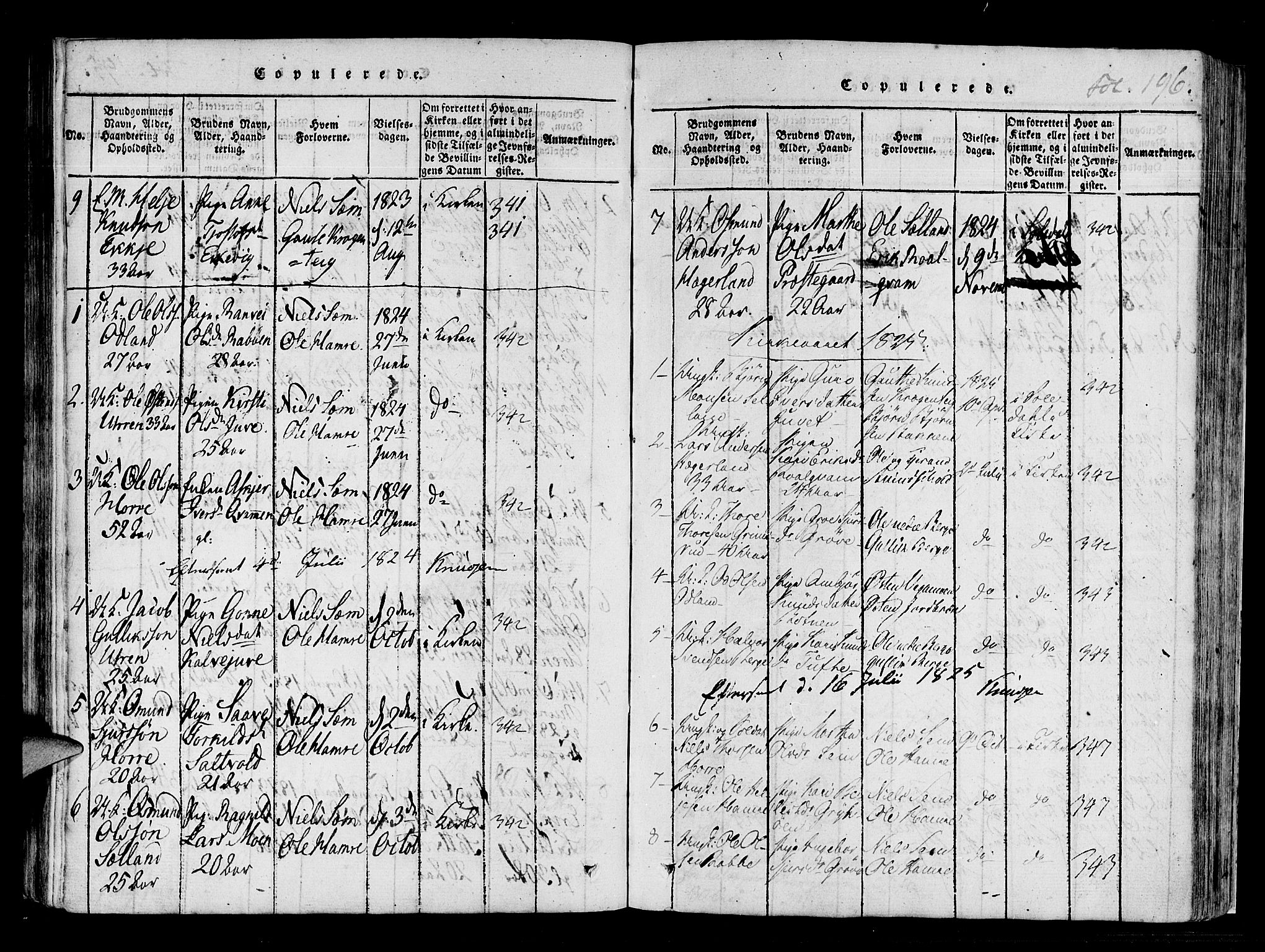 Røldal sokneprestembete, SAB/A-100247: Parish register (official) no. A 2, 1817-1856, p. 196