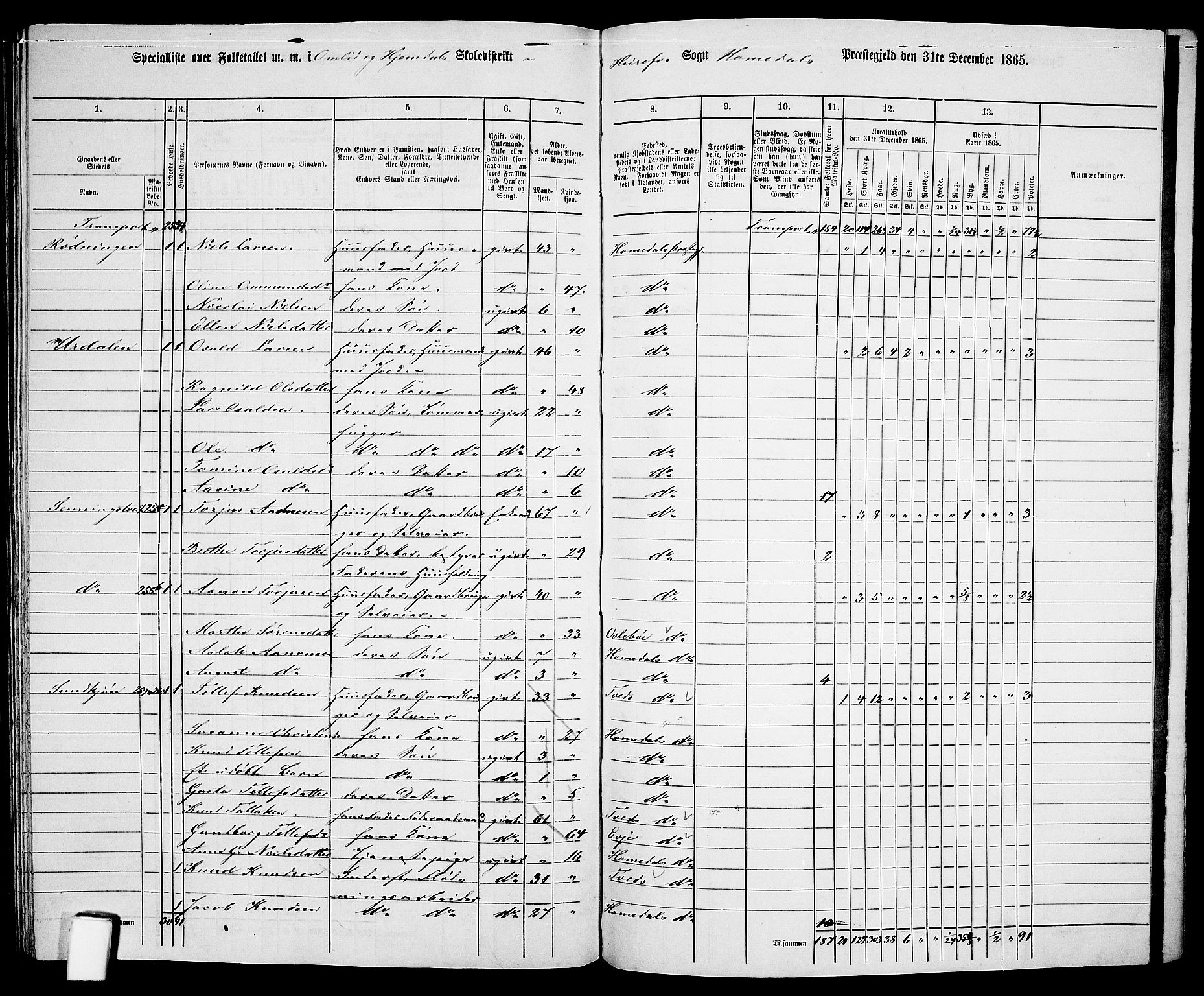 RA, 1865 census for Homedal, 1865, p. 159