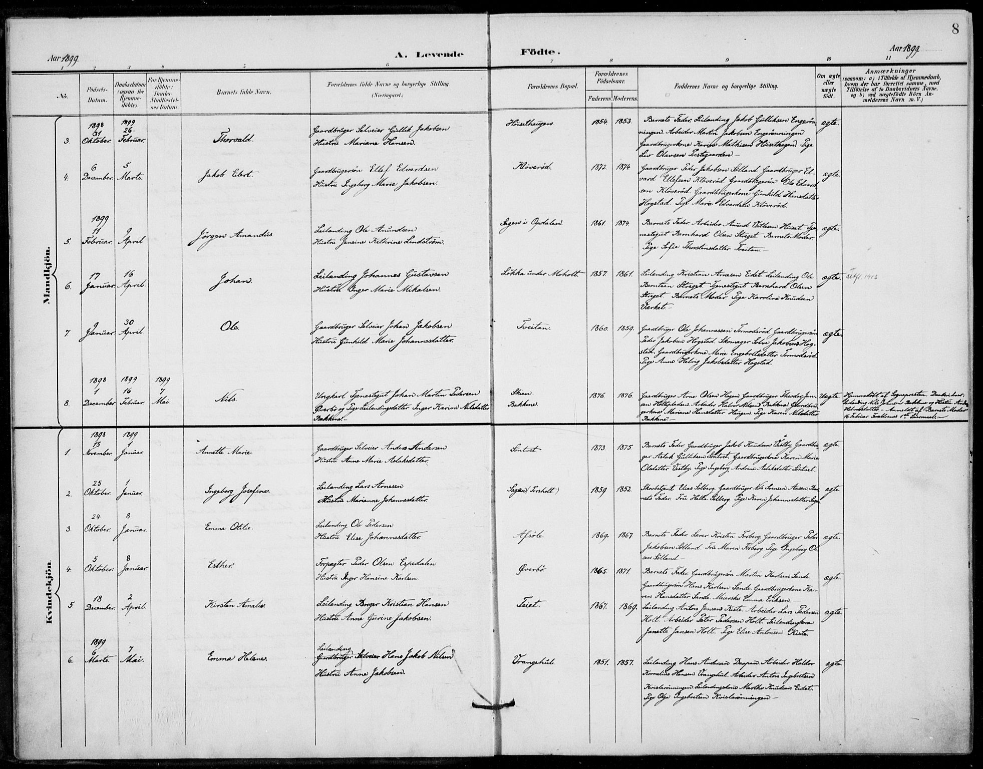 Siljan kirkebøker, SAKO/A-300/F/Fa/L0003: Parish register (official) no. 3, 1896-1910, p. 8