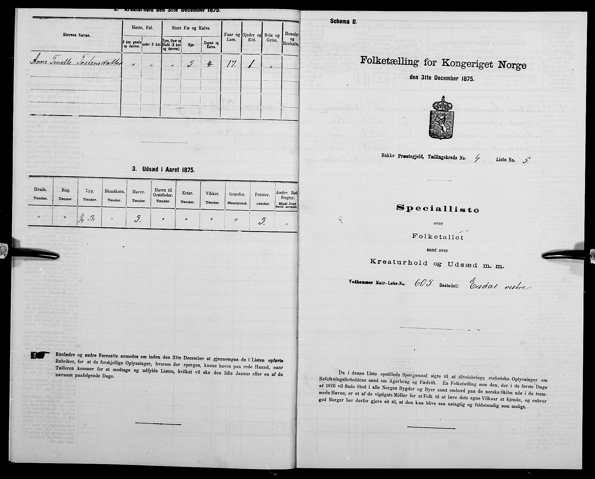 SAK, 1875 census for 1045P Bakke, 1875, p. 391