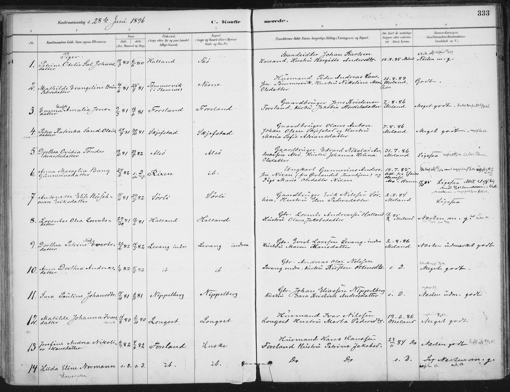 Ministerialprotokoller, klokkerbøker og fødselsregistre - Nordland, AV/SAT-A-1459/838/L0552: Parish register (official) no. 838A10, 1880-1910, p. 333