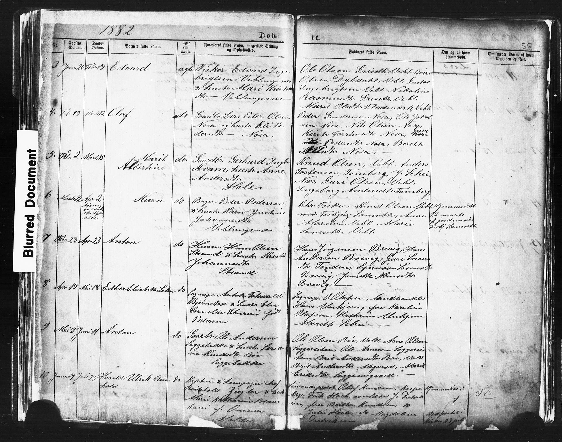 Ministerialprotokoller, klokkerbøker og fødselsregistre - Møre og Romsdal, AV/SAT-A-1454/544/L0580: Parish register (copy) no. 544C02, 1867-1909, p. 55