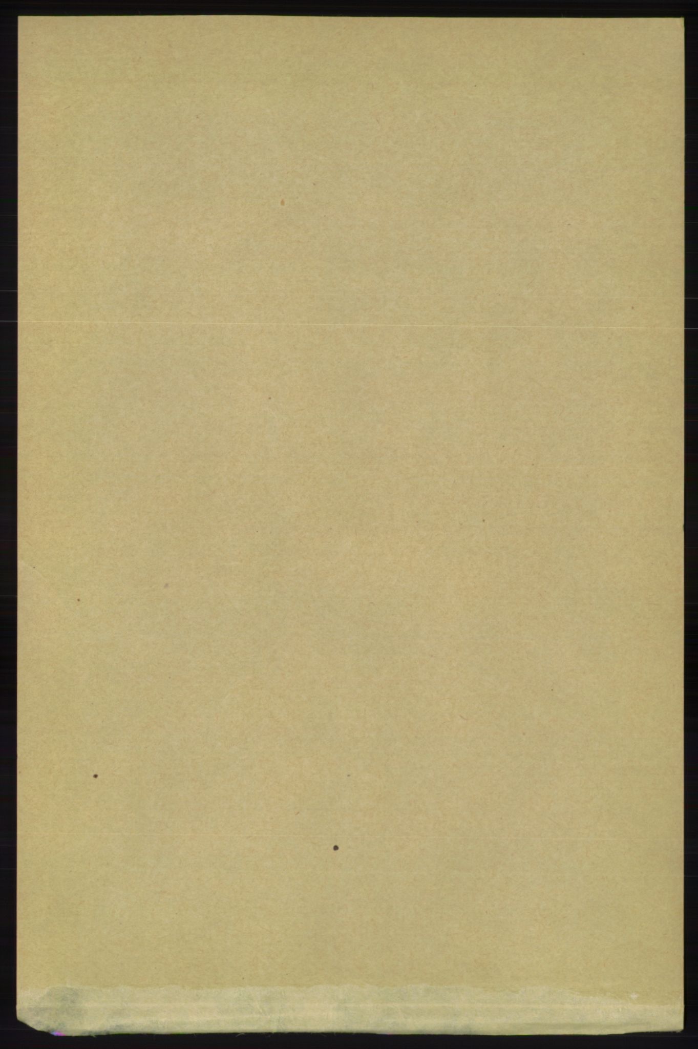 RA, 1891 census for 1157 Vikedal, 1891, p. 58