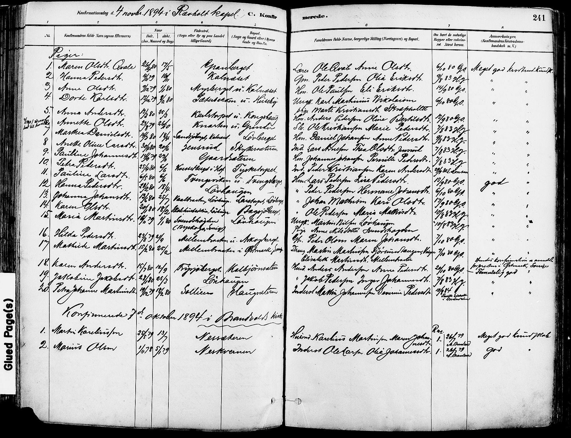 Grue prestekontor, SAH/PREST-036/H/Ha/Haa/L0012: Parish register (official) no. 12, 1881-1897, p. 241