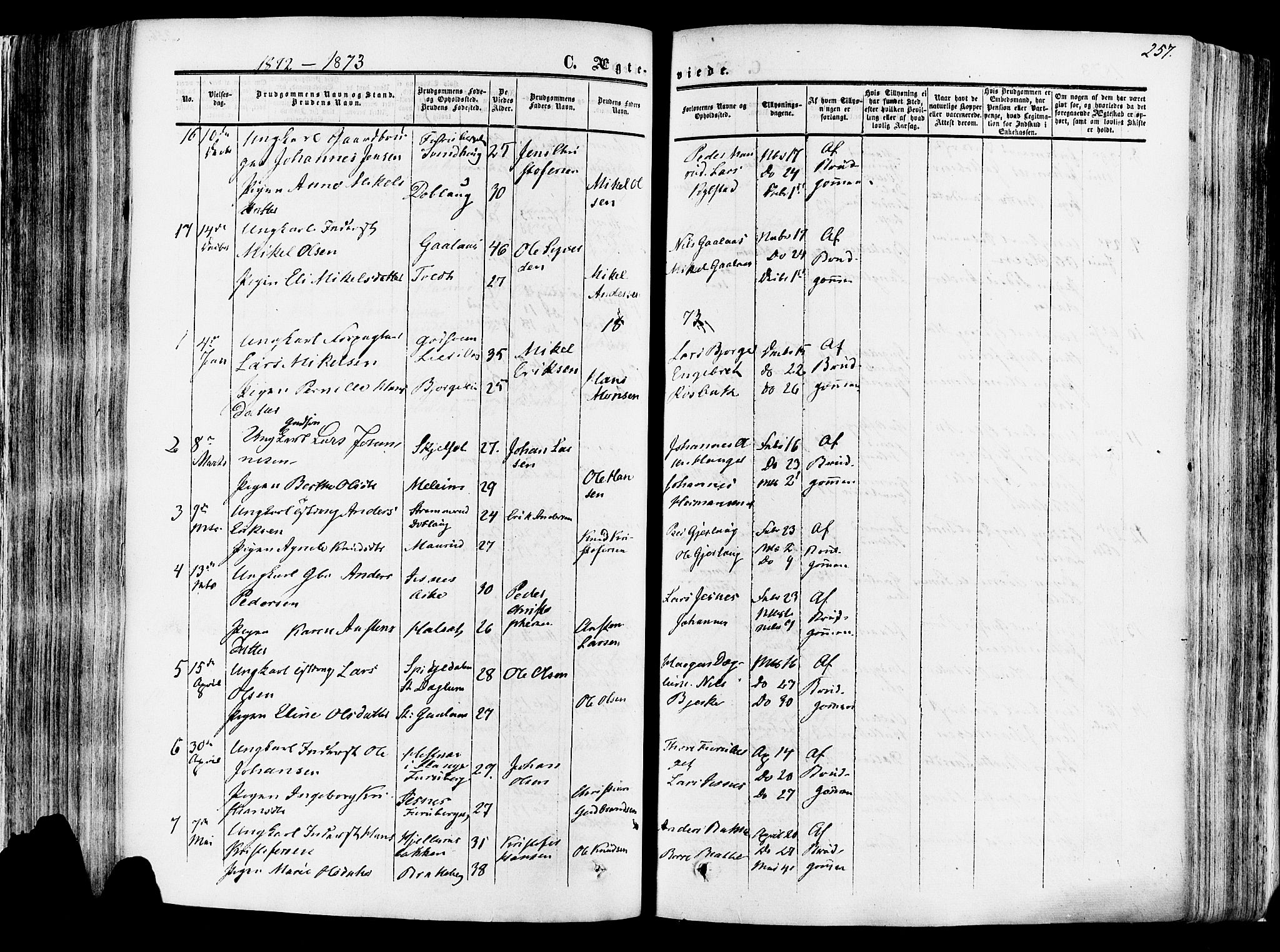 Vang prestekontor, Hedmark, SAH/PREST-008/H/Ha/Haa/L0013: Parish register (official) no. 13, 1855-1879, p. 257