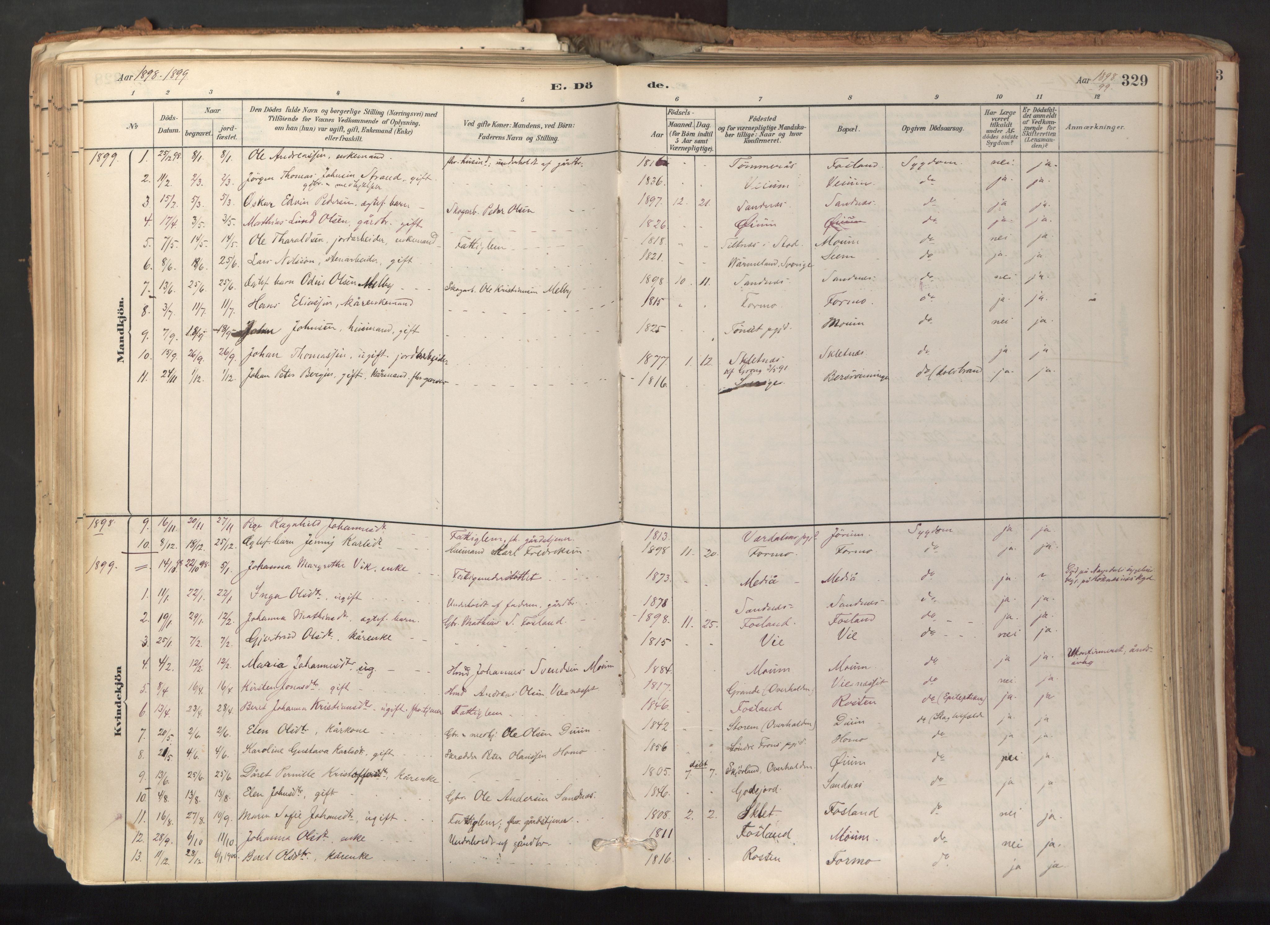 Ministerialprotokoller, klokkerbøker og fødselsregistre - Nord-Trøndelag, SAT/A-1458/758/L0519: Parish register (official) no. 758A04, 1880-1926, p. 329