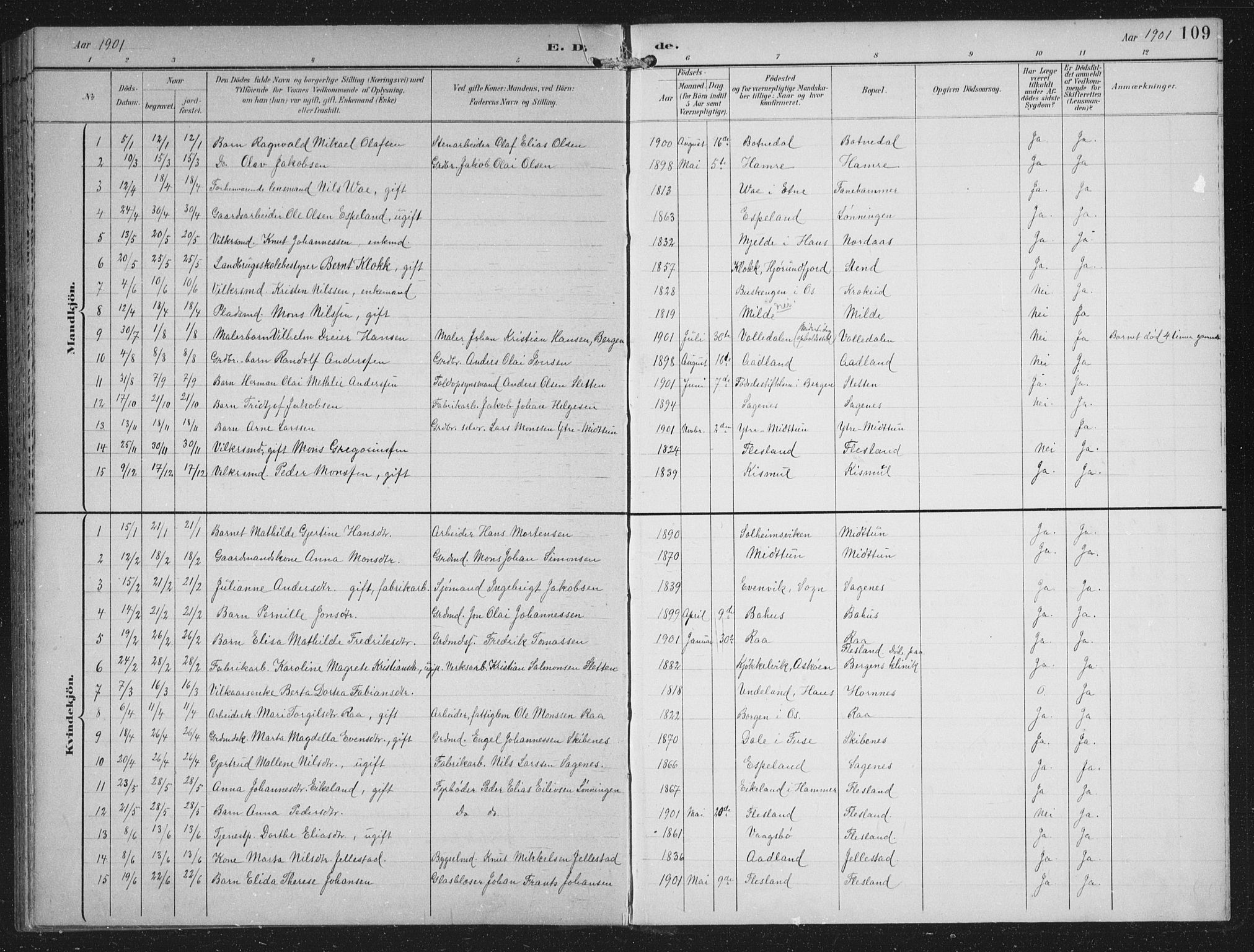 Fana Sokneprestembete, SAB/A-75101/H/Hab/Haba/L0003: Parish register (copy) no. A 3, 1895-1902, p. 109