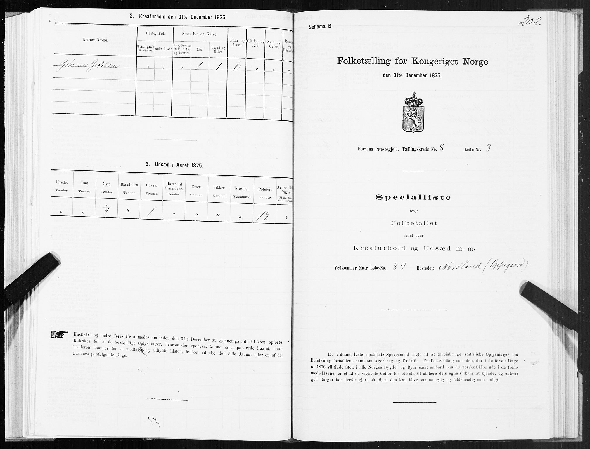 SAT, 1875 census for 1658P Børsa, 1875, p. 5202