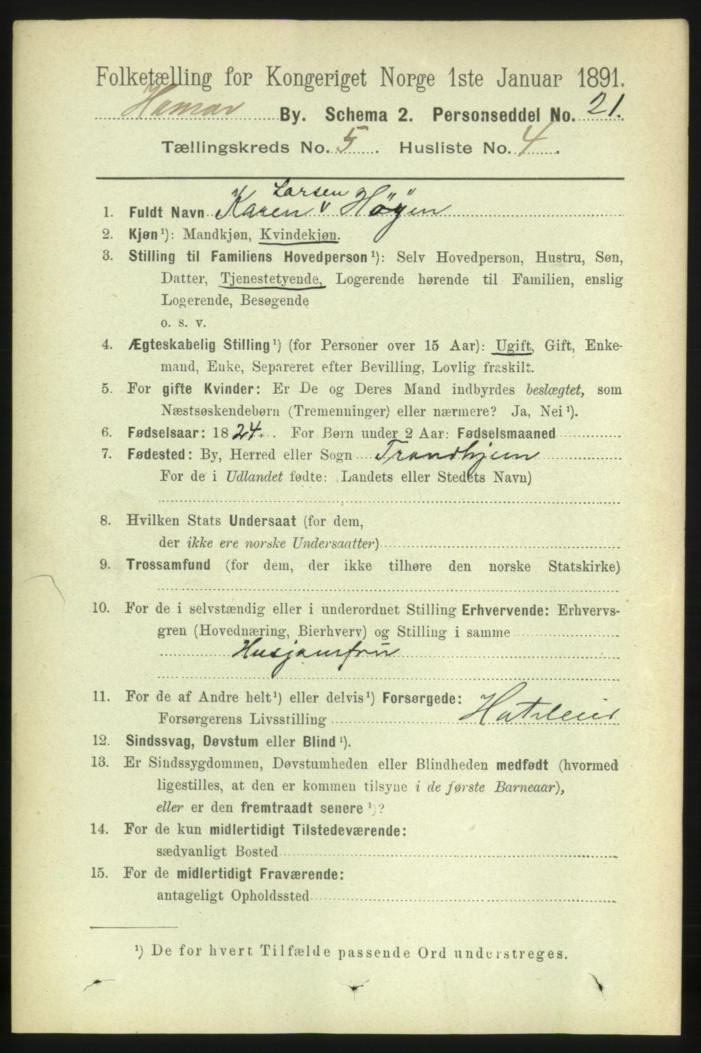 RA, 1891 census for 0401 Hamar, 1891, p. 3755