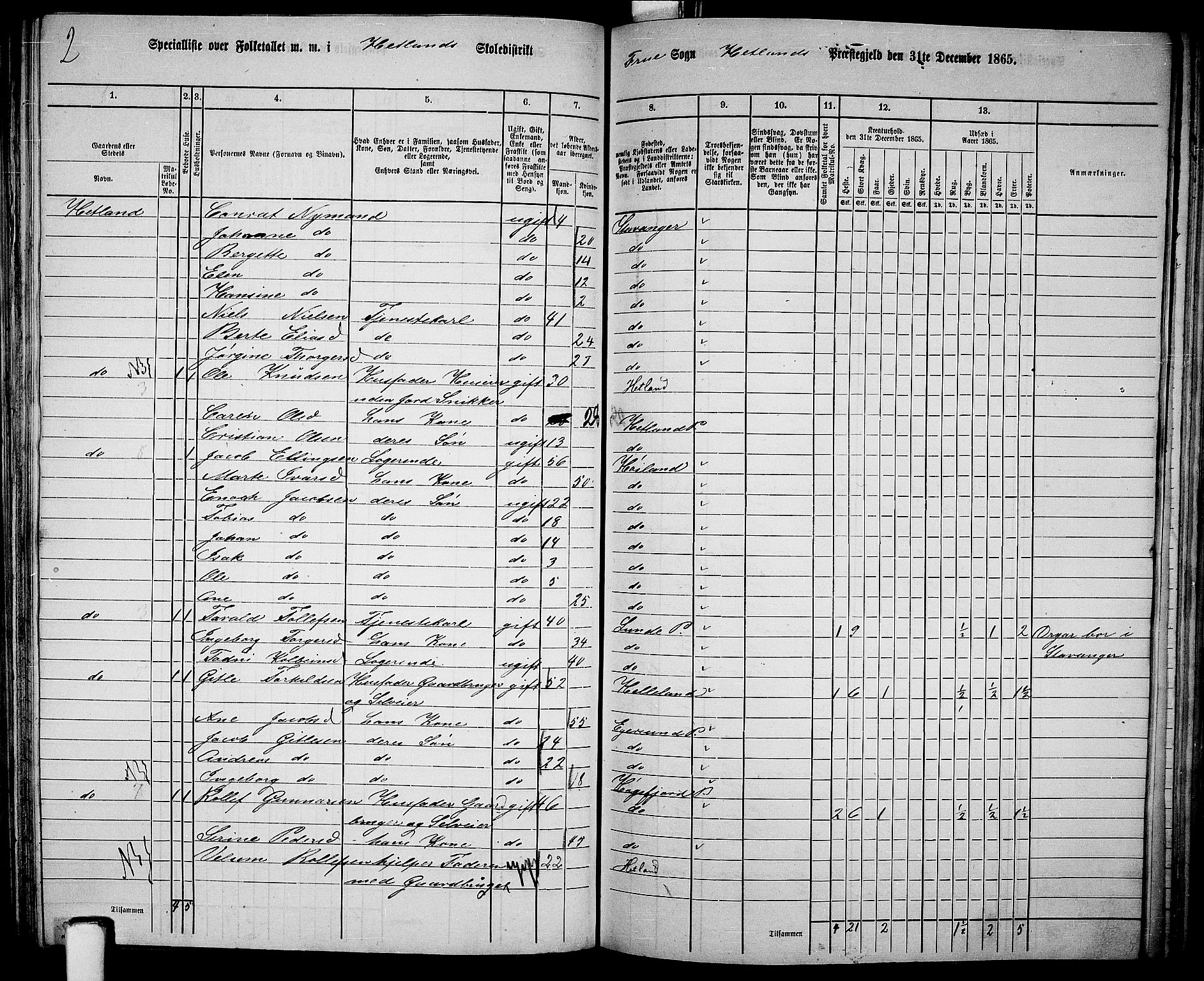 RA, 1865 census for Hetland, 1865, p. 142