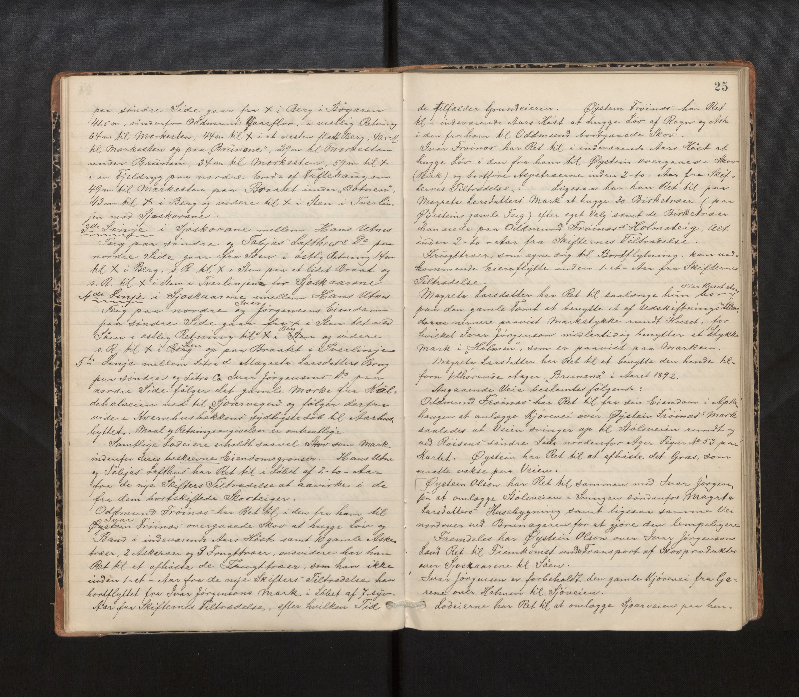 Hordaland jordskiftedøme - IV Hardanger jordskiftedistrikt, AV/SAB-A-7101/A/Aa/L0013: Forhandlingsprotokoll, 1890-1894, p. 24b-25a