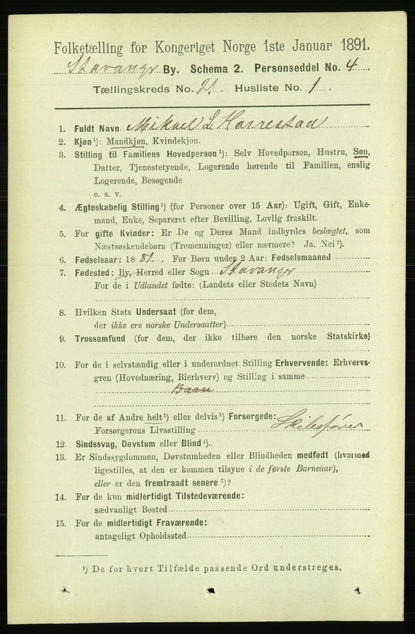 RA, 1891 census for 1103 Stavanger, 1891, p. 23508