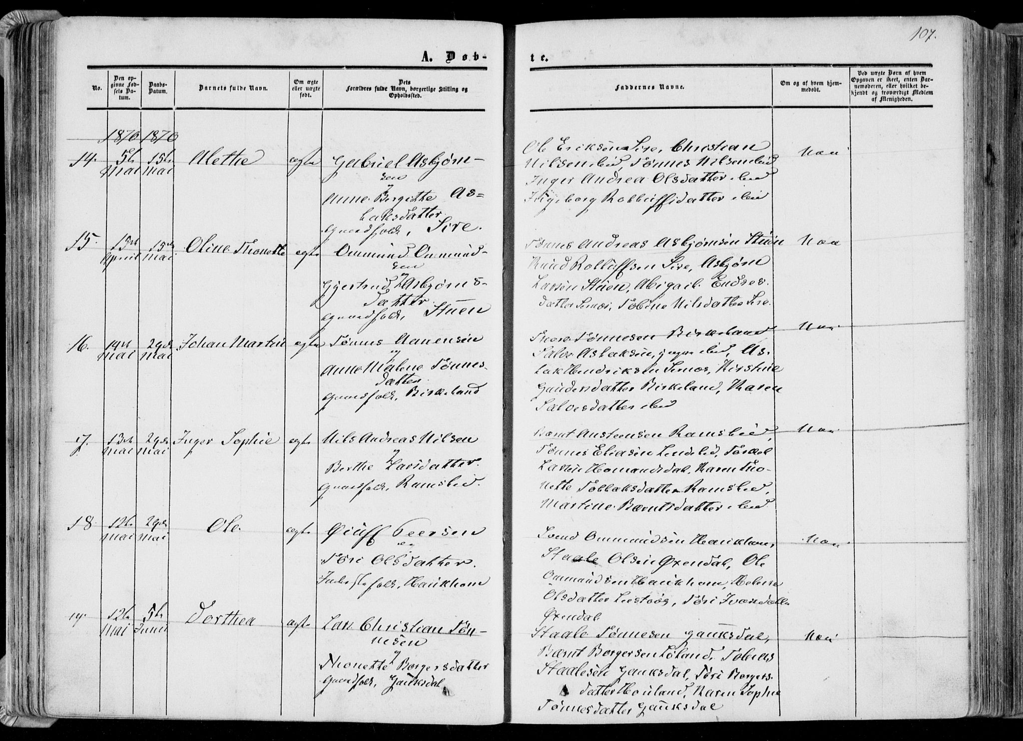 Bakke sokneprestkontor, AV/SAK-1111-0002/F/Fa/Faa/L0006: Parish register (official) no. A 6, 1855-1877, p. 107