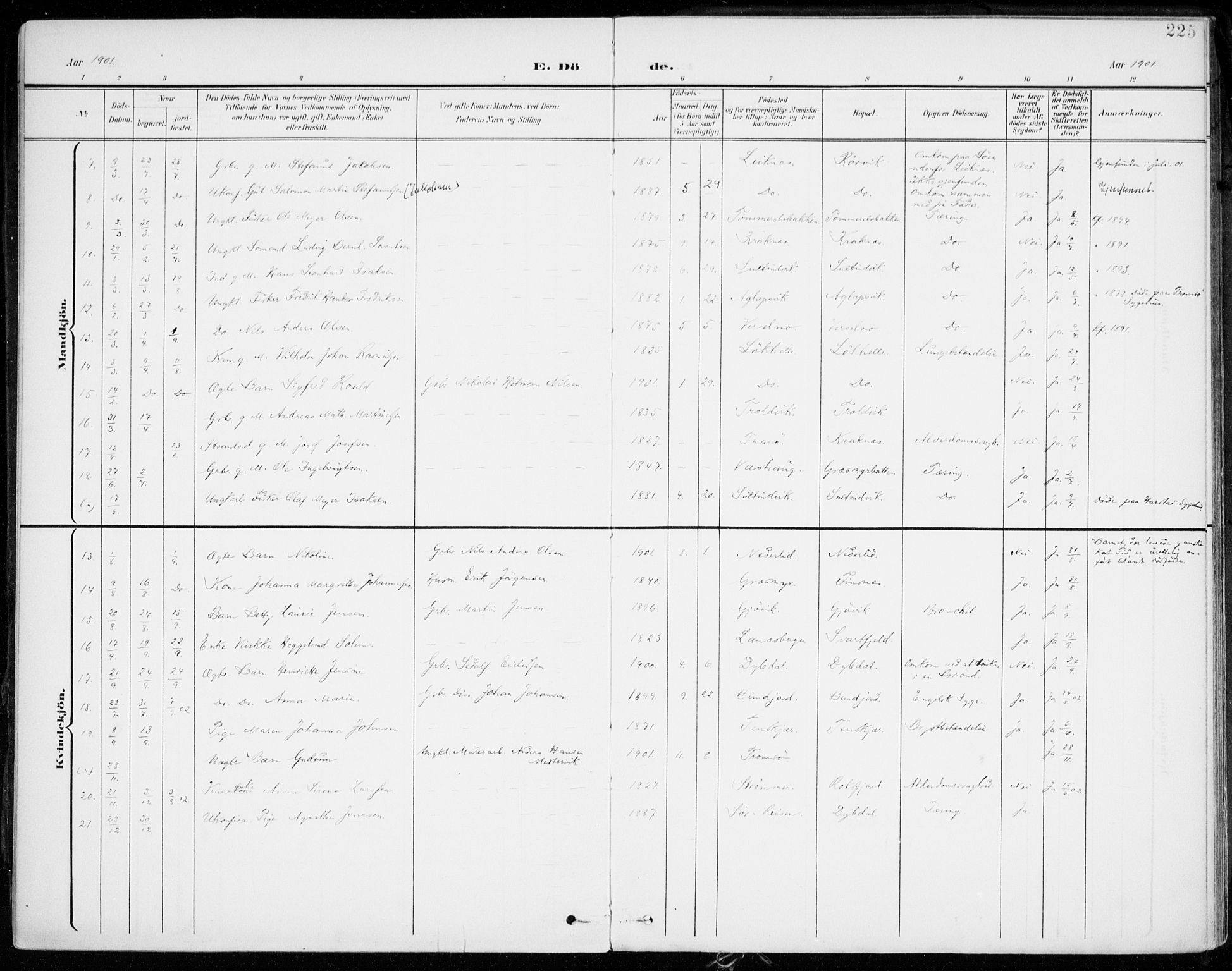 Lenvik sokneprestembete, AV/SATØ-S-1310/H/Ha/Haa/L0014kirke: Parish register (official) no. 14, 1899-1909, p. 225