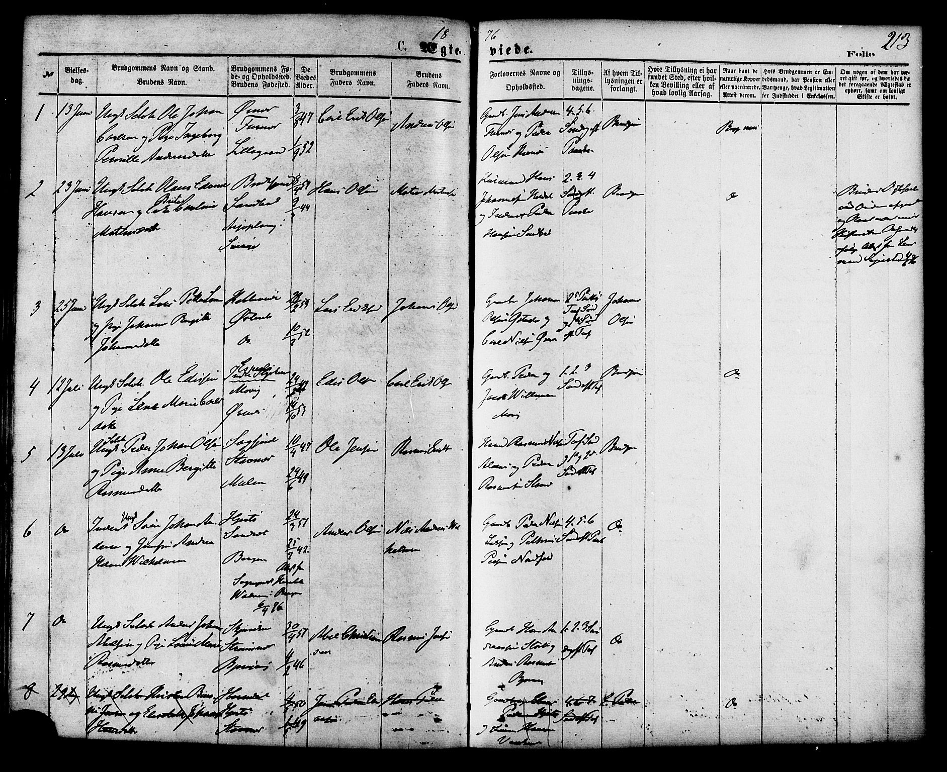 Ministerialprotokoller, klokkerbøker og fødselsregistre - Nordland, SAT/A-1459/853/L0771: Parish register (official) no. 853A10, 1870-1881, p. 213