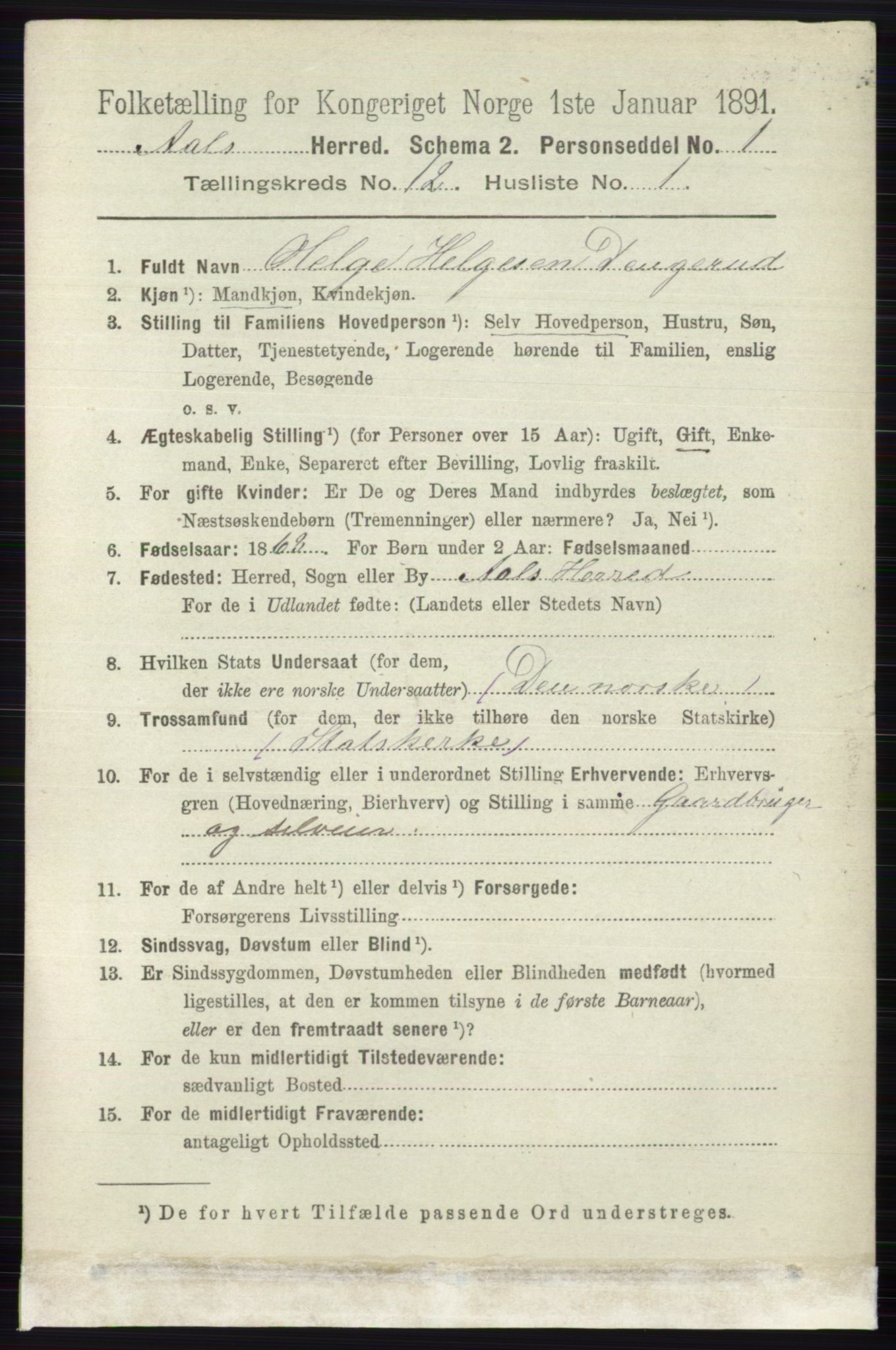 RA, 1891 census for 0619 Ål, 1891, p. 3007