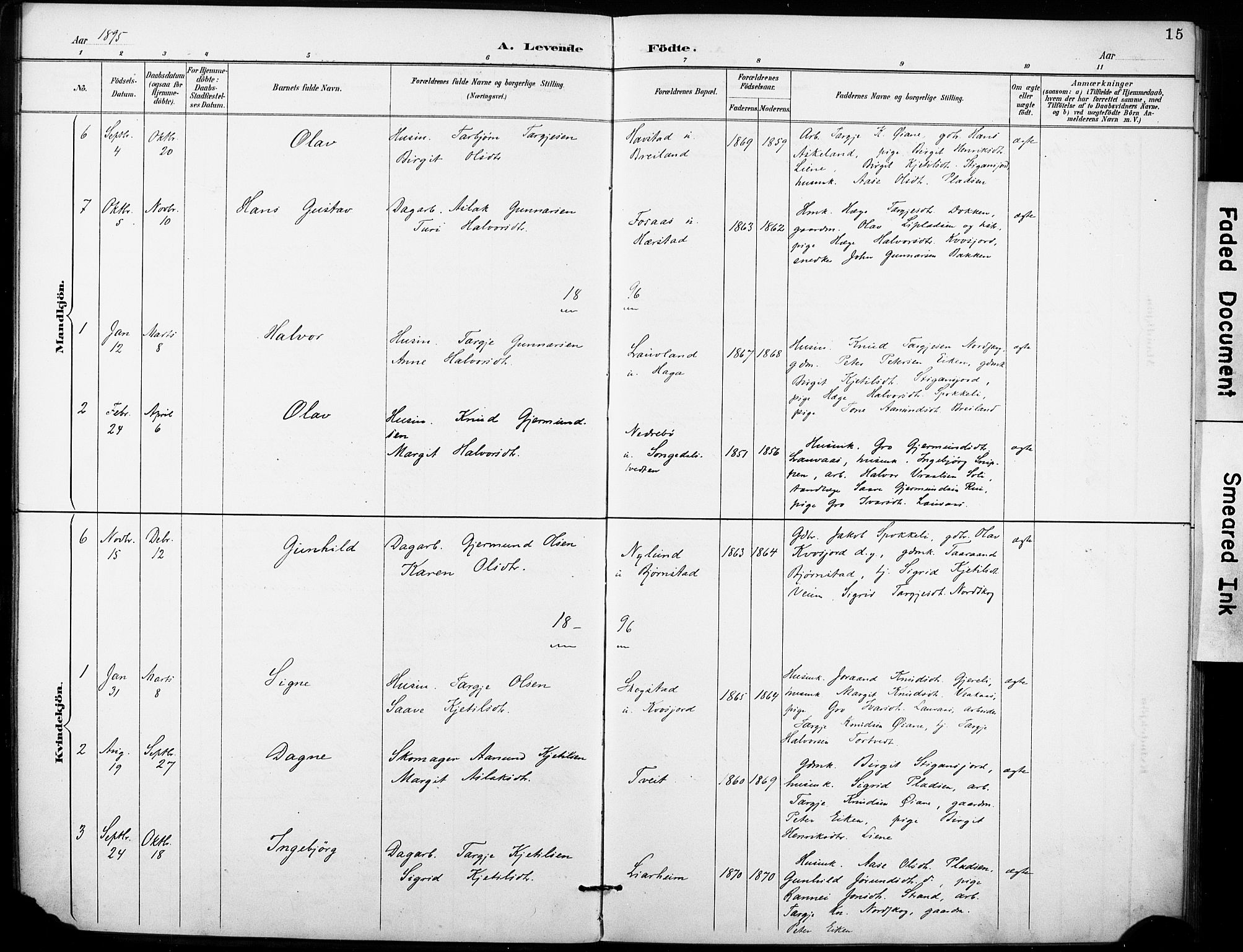 Fyresdal kirkebøker, SAKO/A-263/F/Fb/L0003: Parish register (official) no. II 3, 1887-1903, p. 15
