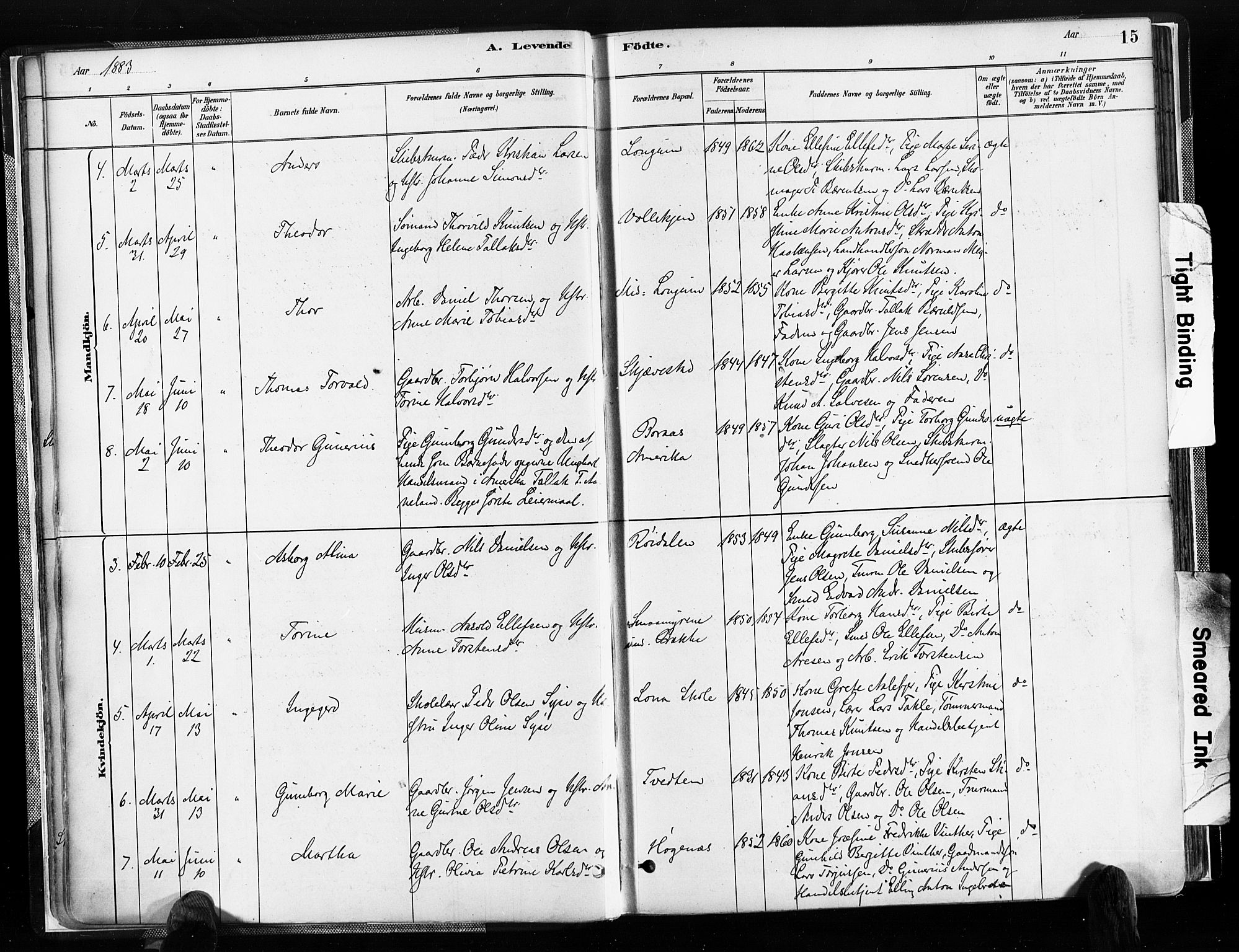 Austre Moland sokneprestkontor, SAK/1111-0001/F/Fa/Faa/L0010: Parish register (official) no. A 10, 1880-1904, p. 15