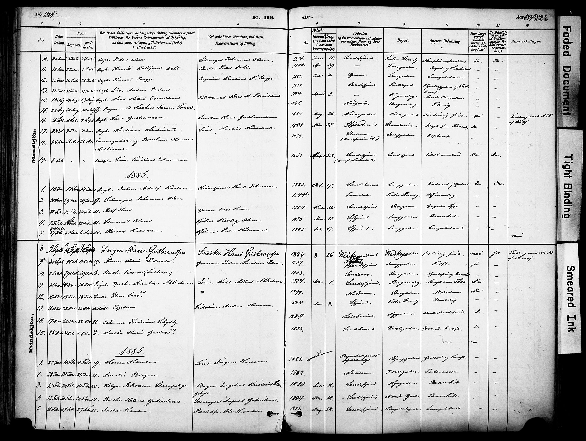 Sandefjord kirkebøker, SAKO/A-315/F/Fa/L0002: Parish register (official) no. 2, 1880-1894, p. 224