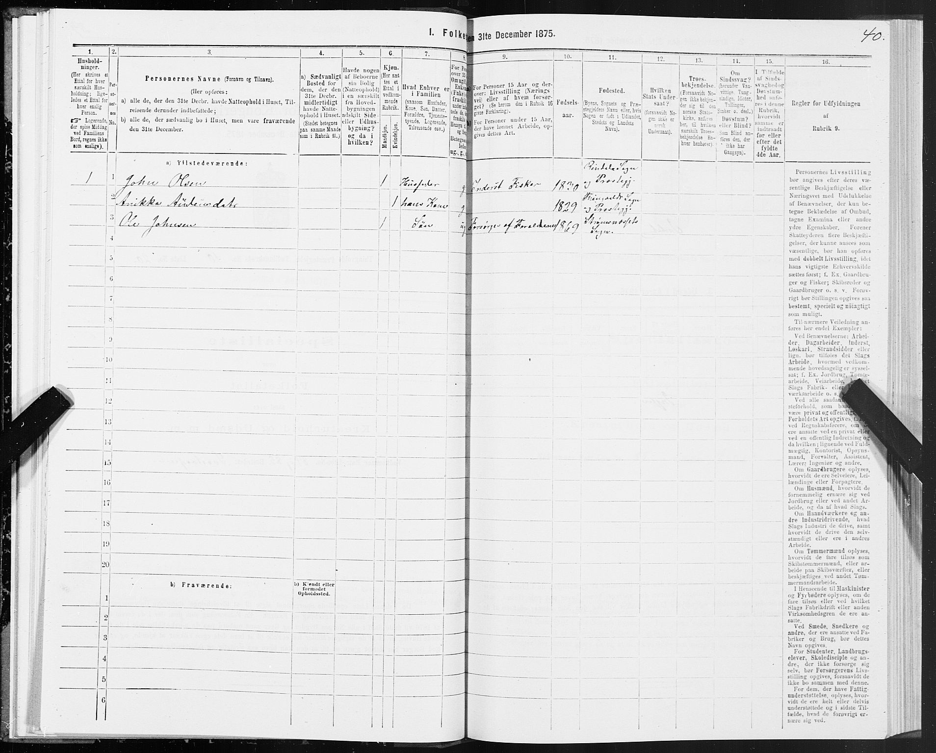 SAT, 1875 census for 1560P Tingvoll, 1875, p. 4040