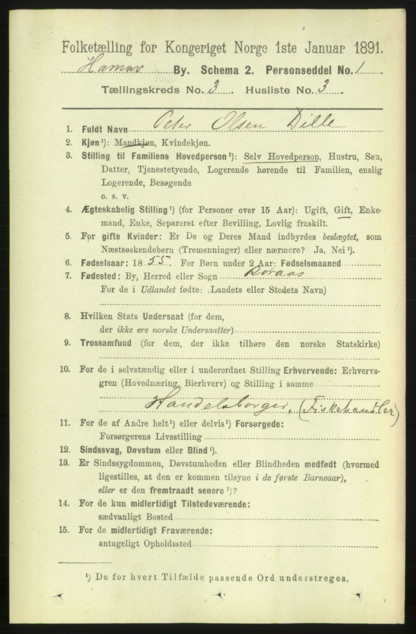 RA, 1891 census for 0401 Hamar, 1891, p. 1725
