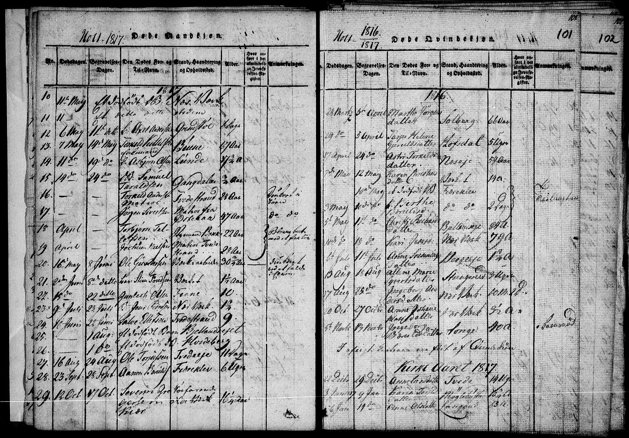 Holt sokneprestkontor, AV/SAK-1111-0021/F/Fa/L0005: Parish register (official) no. A 5, 1813-1821, p. 101