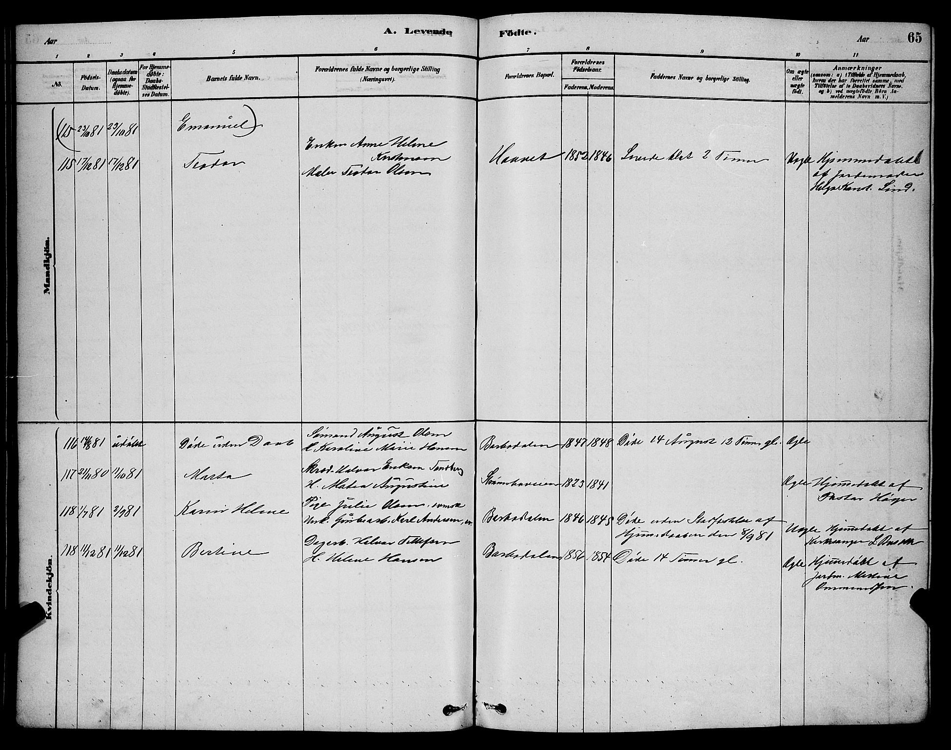 Barbu sokneprestkontor, AV/SAK-1111-0003/F/Fb/L0001: Parish register (copy) no. B 1, 1878-1890, p. 65