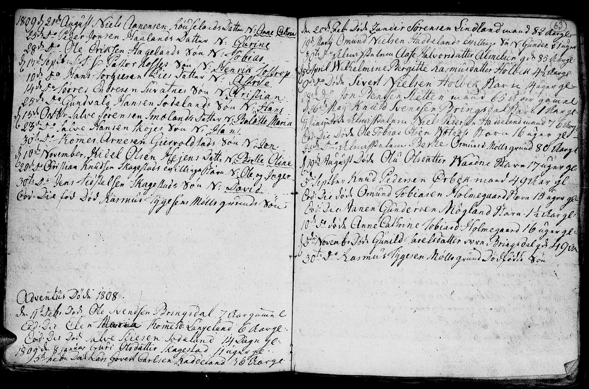 Holum sokneprestkontor, AV/SAK-1111-0022/F/Fb/Fba/L0001: Parish register (copy) no. B 1 /1, 1770-1820, p. 63