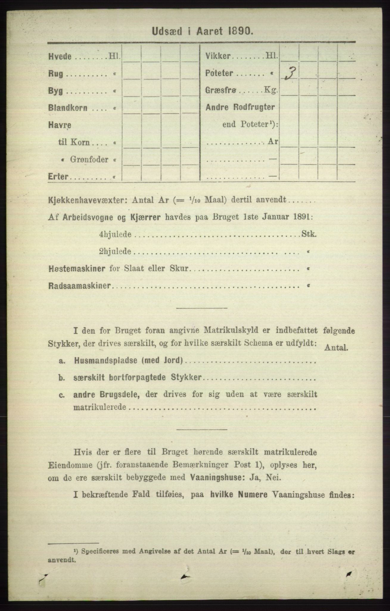 RA, 1891 census for 1251 Bruvik, 1891, p. 4890