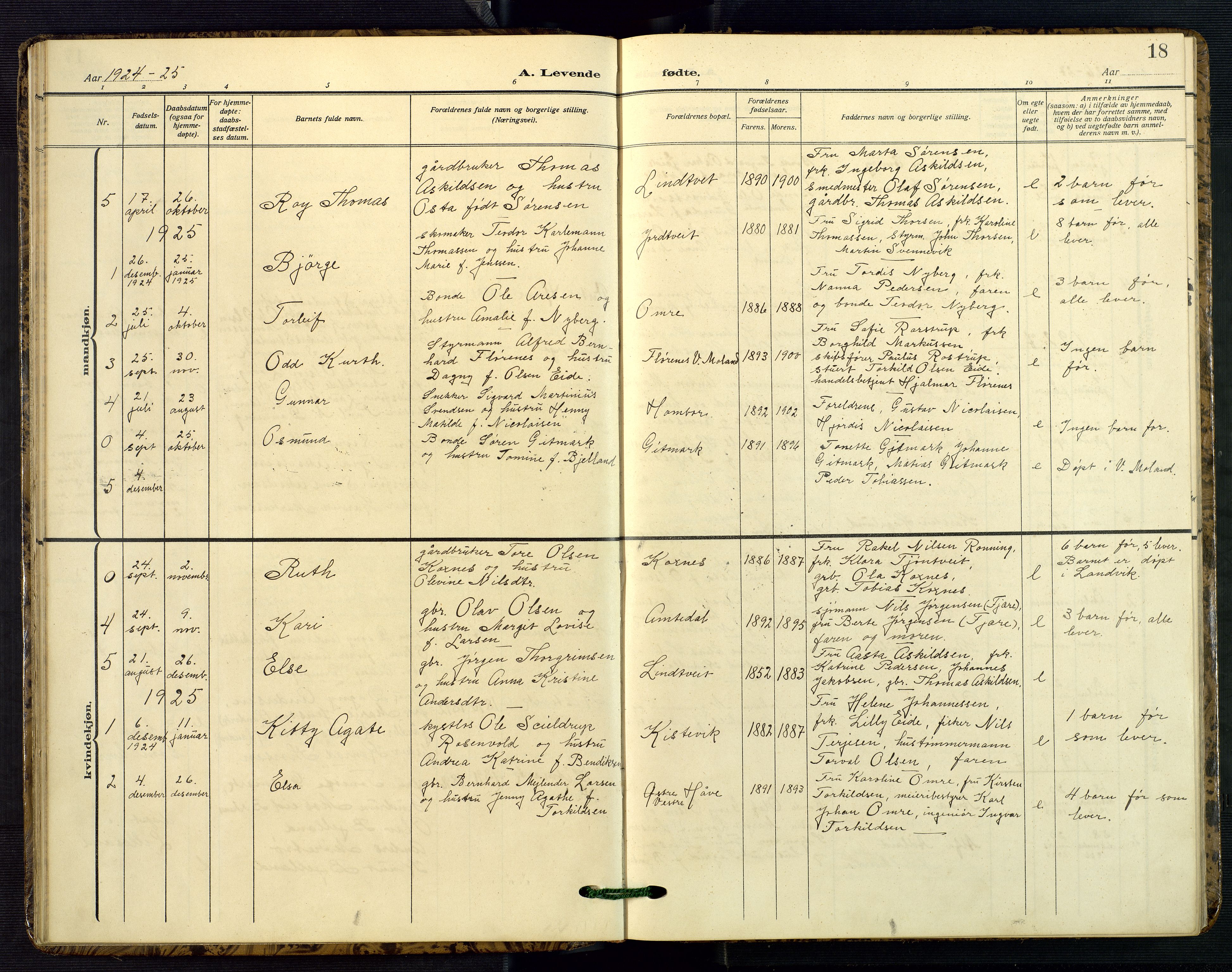 Hommedal sokneprestkontor, SAK/1111-0023/F/Fb/Fba/L0005: Parish register (copy) no. B 5, 1909-1957, p. 18