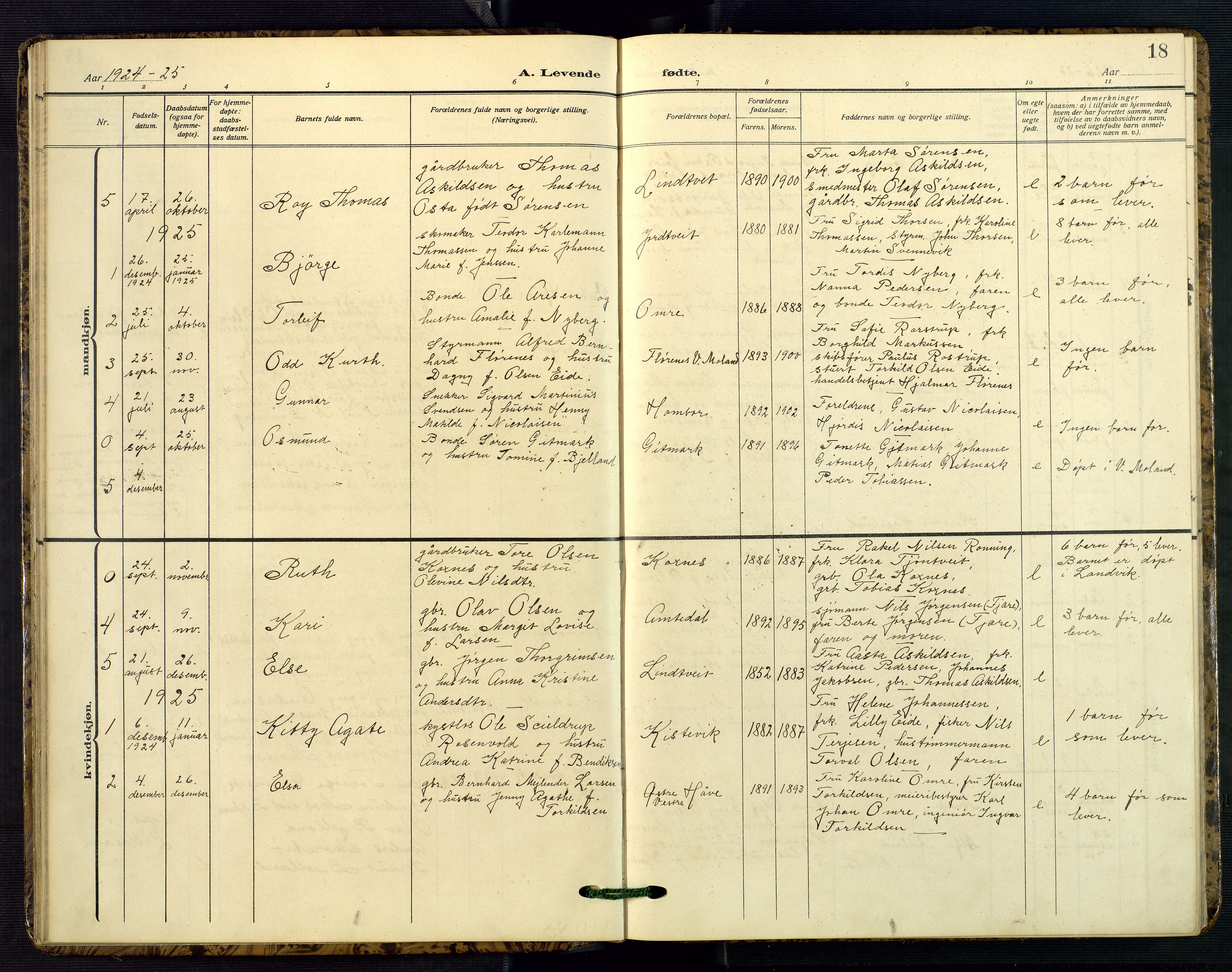 Hommedal sokneprestkontor, AV/SAK-1111-0023/F/Fb/Fba/L0005: Parish register (copy) no. B 5, 1909-1957, p. 18