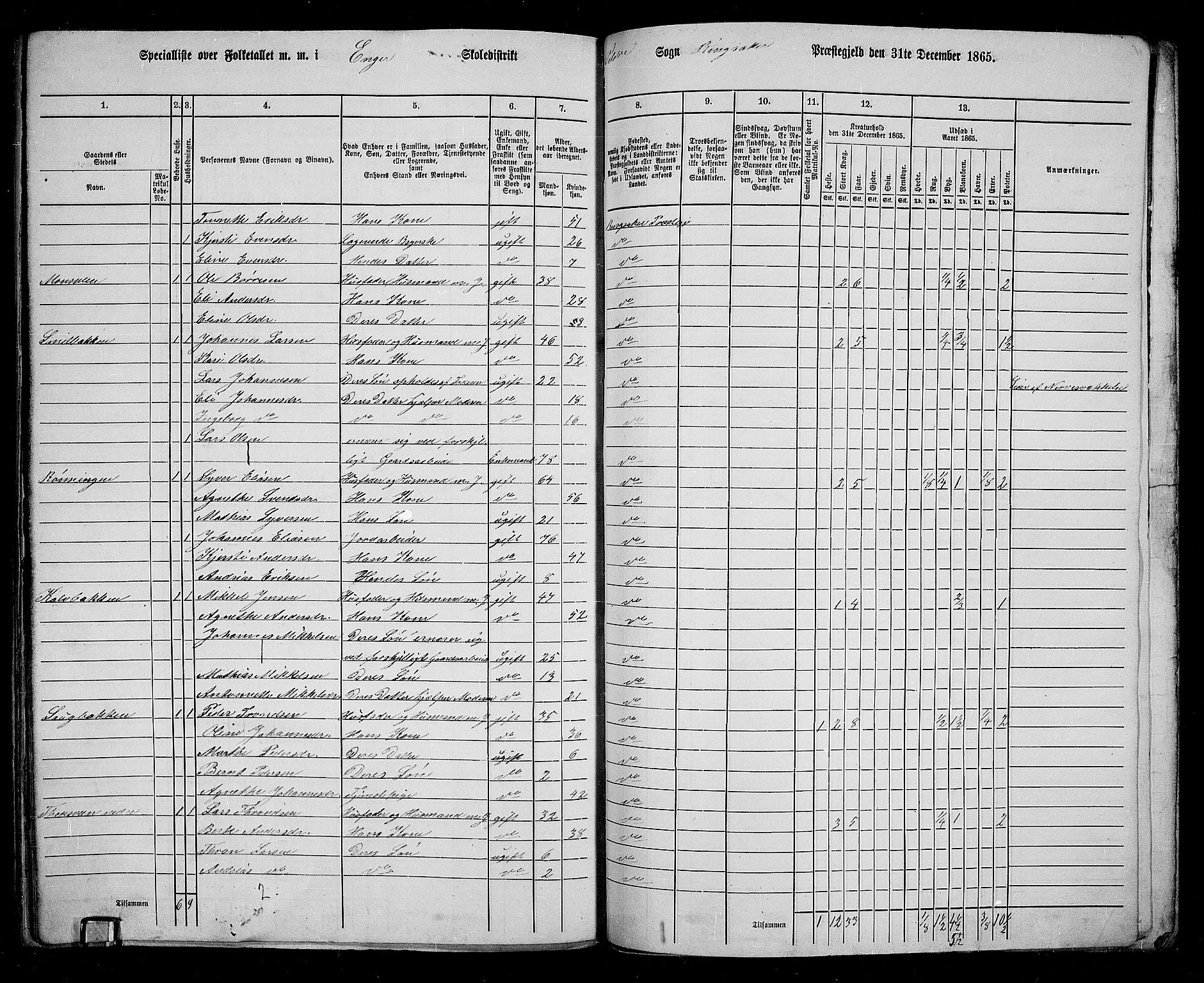 RA, 1865 census for Ringsaker, 1865, p. 239